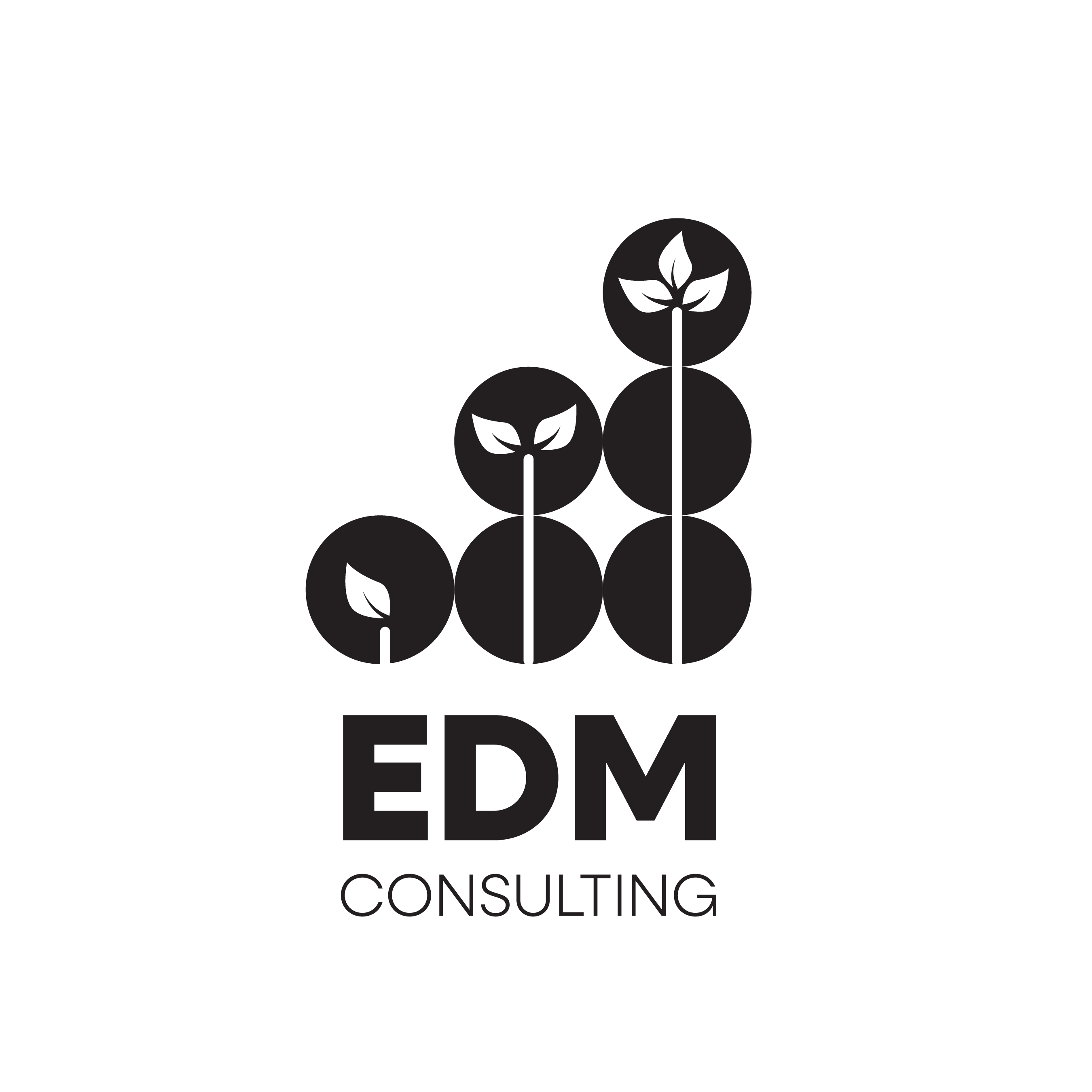 EDM Consulting LLC