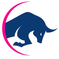 Bull Business Advisory LLC