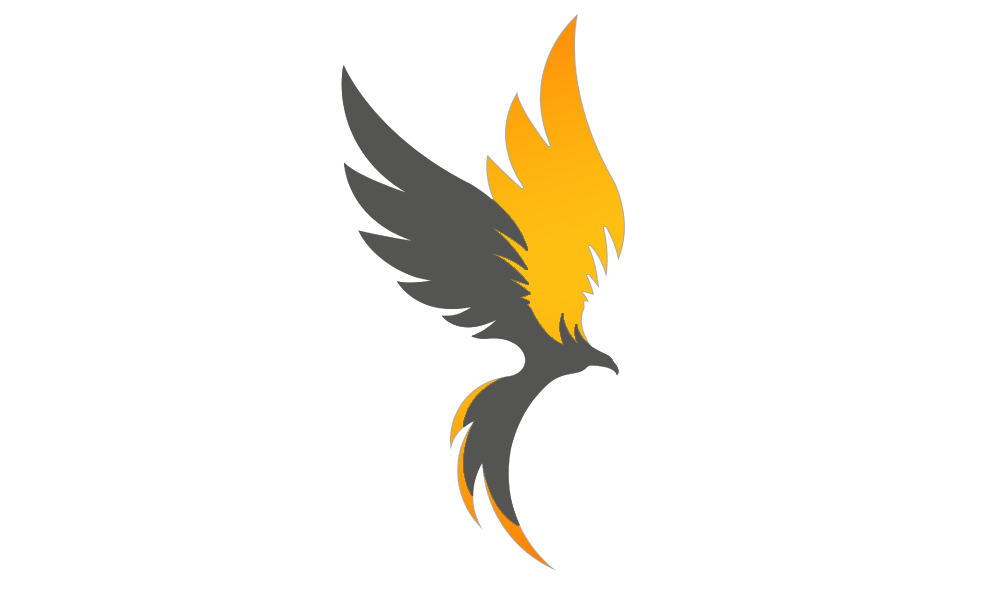 Bug Out Training Studio