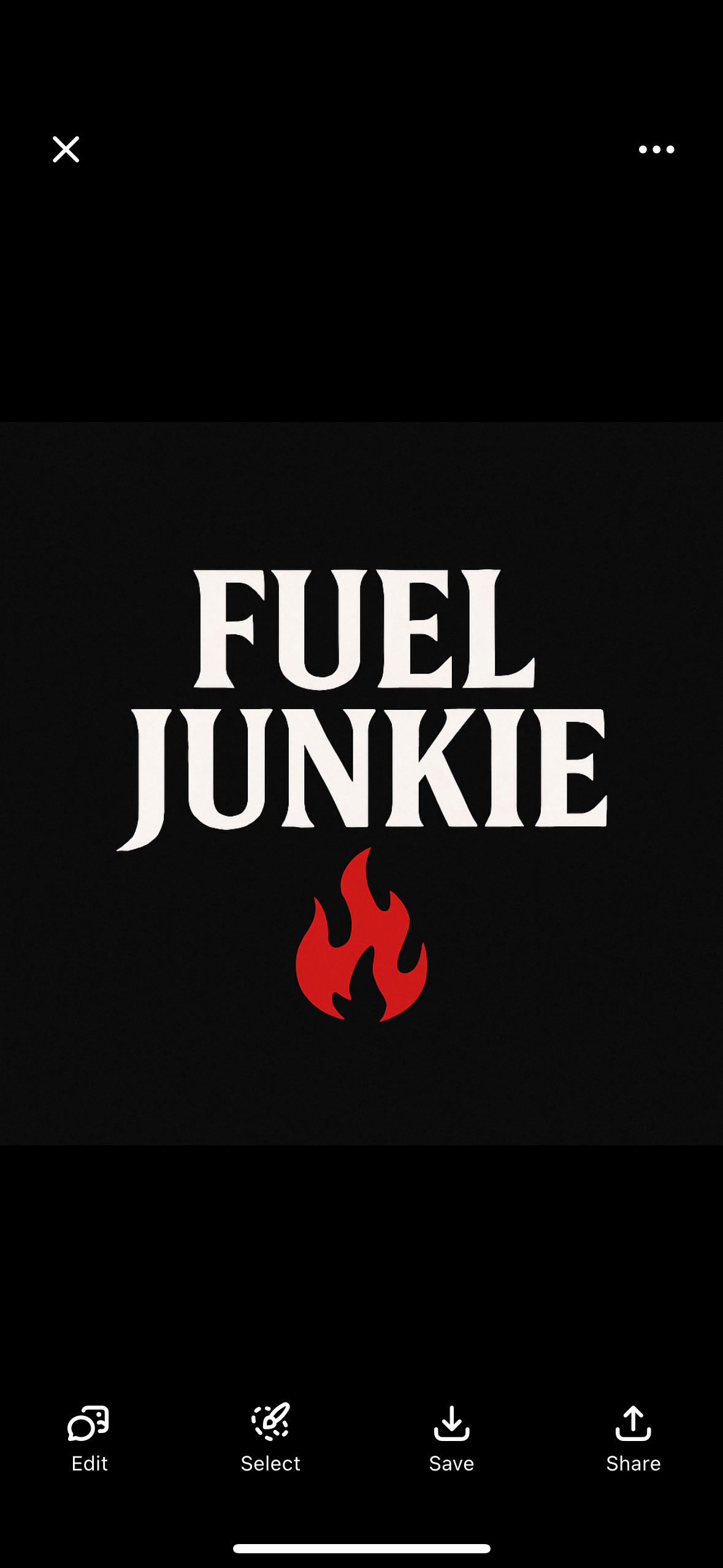 Fuel Junkie