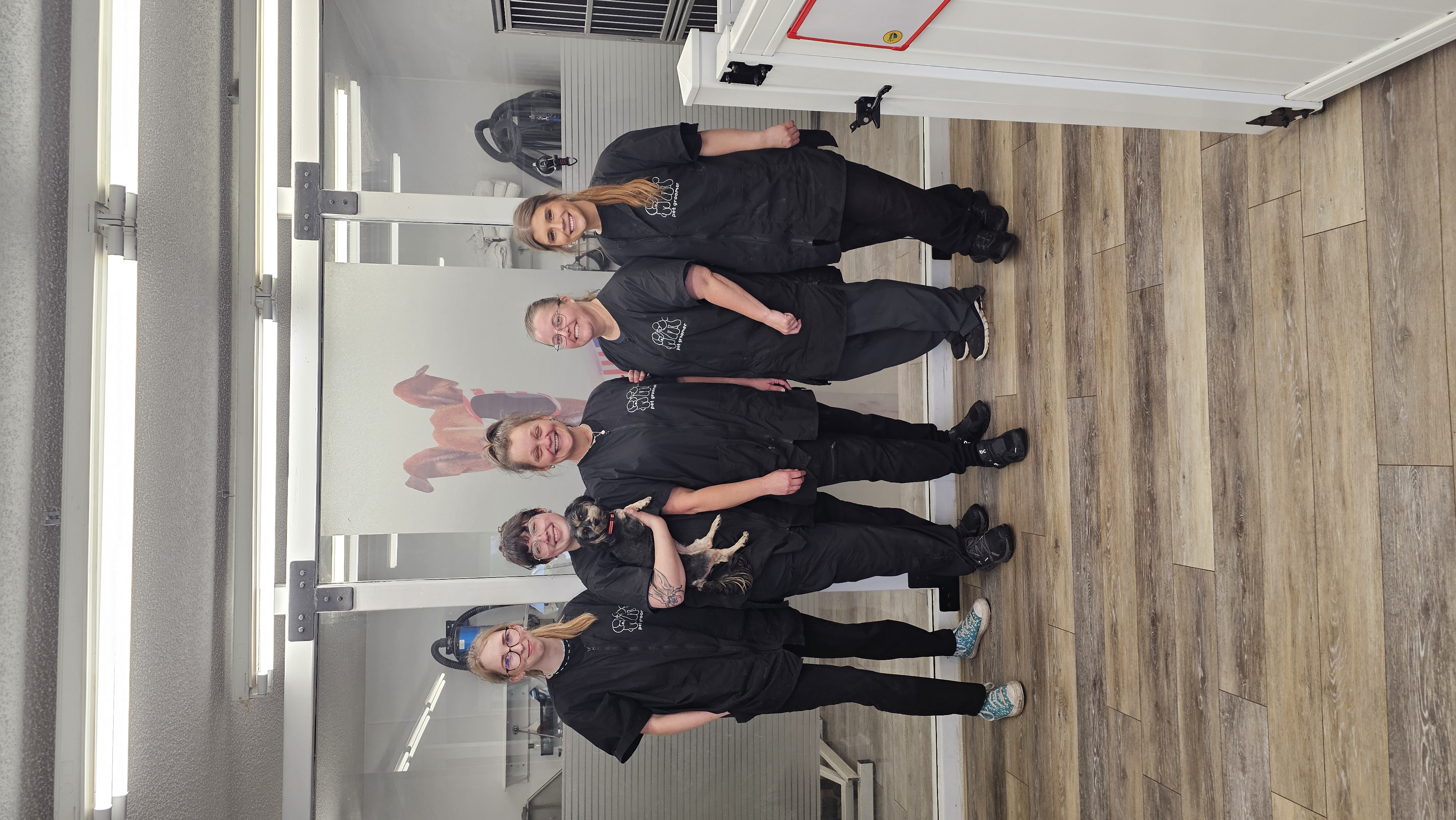 Lisa's Grooming Salon And Pet Boutique LLC