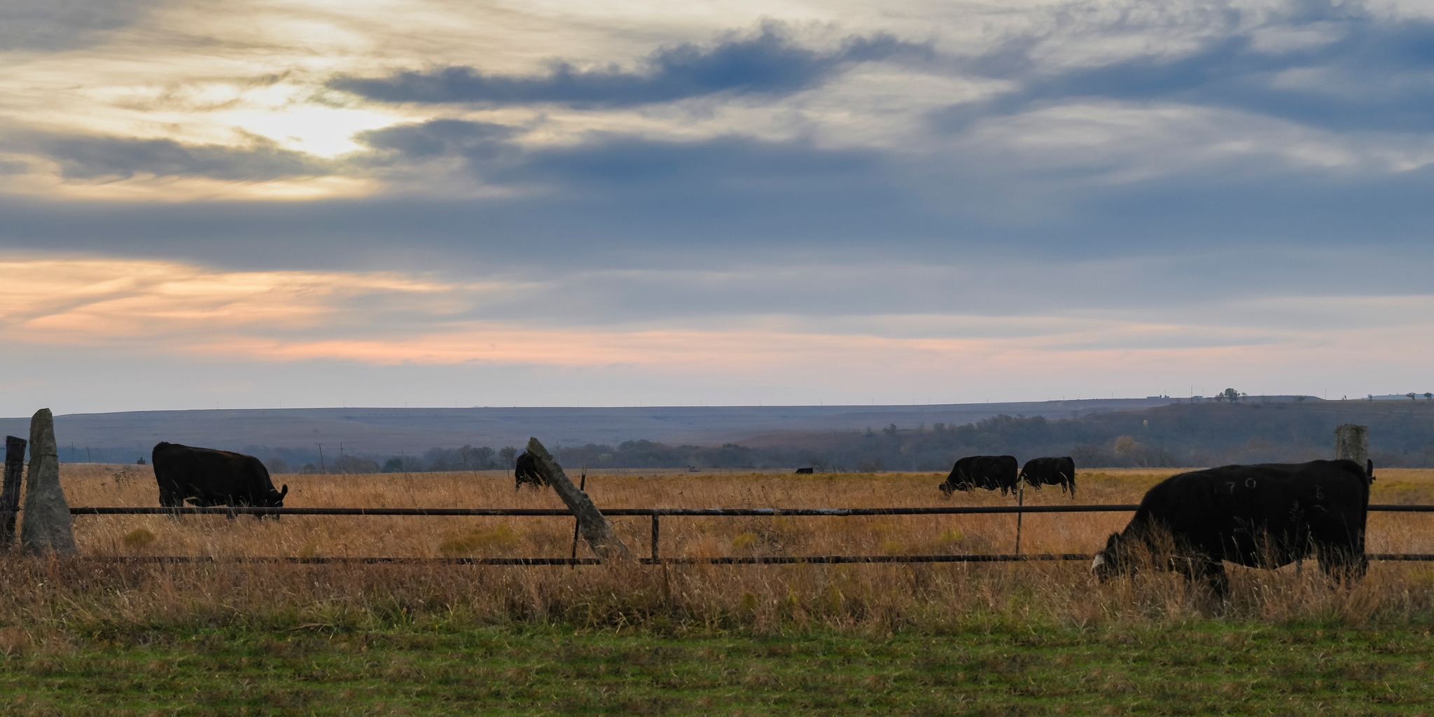 Jewline Industries LLC