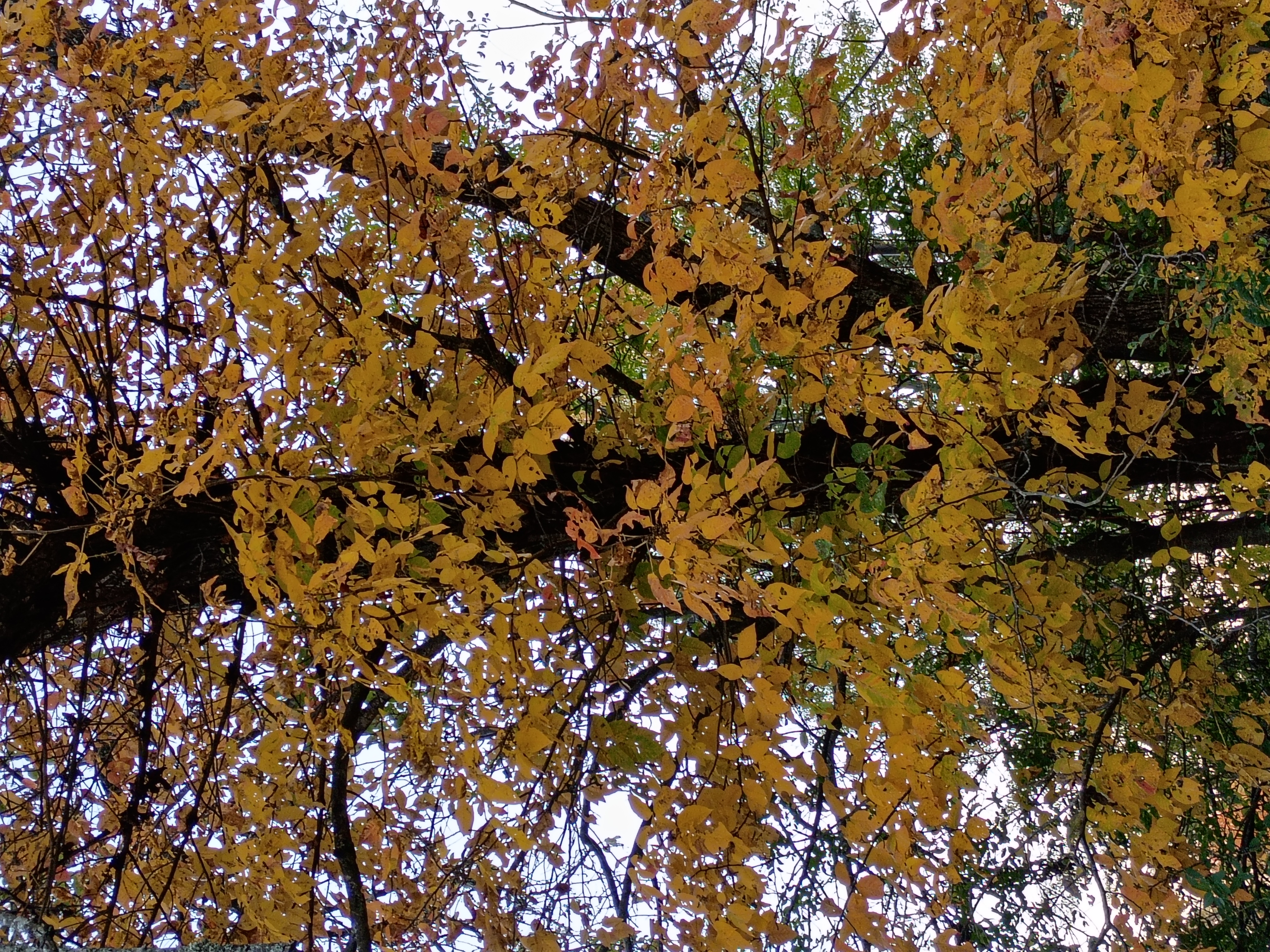 Be Blessed Tpt Store