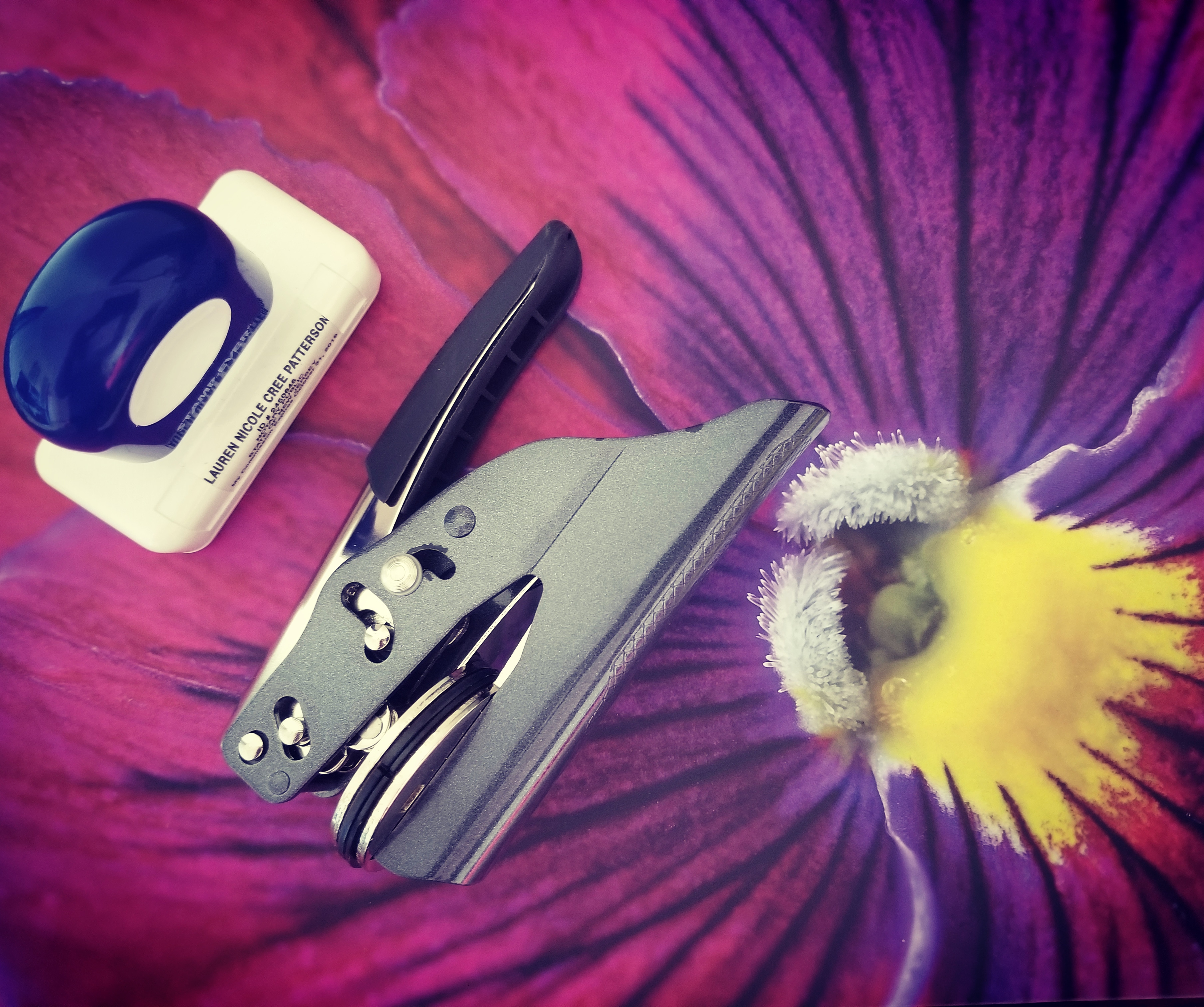 Pathways Unlimited LLC Dba LNP Notary