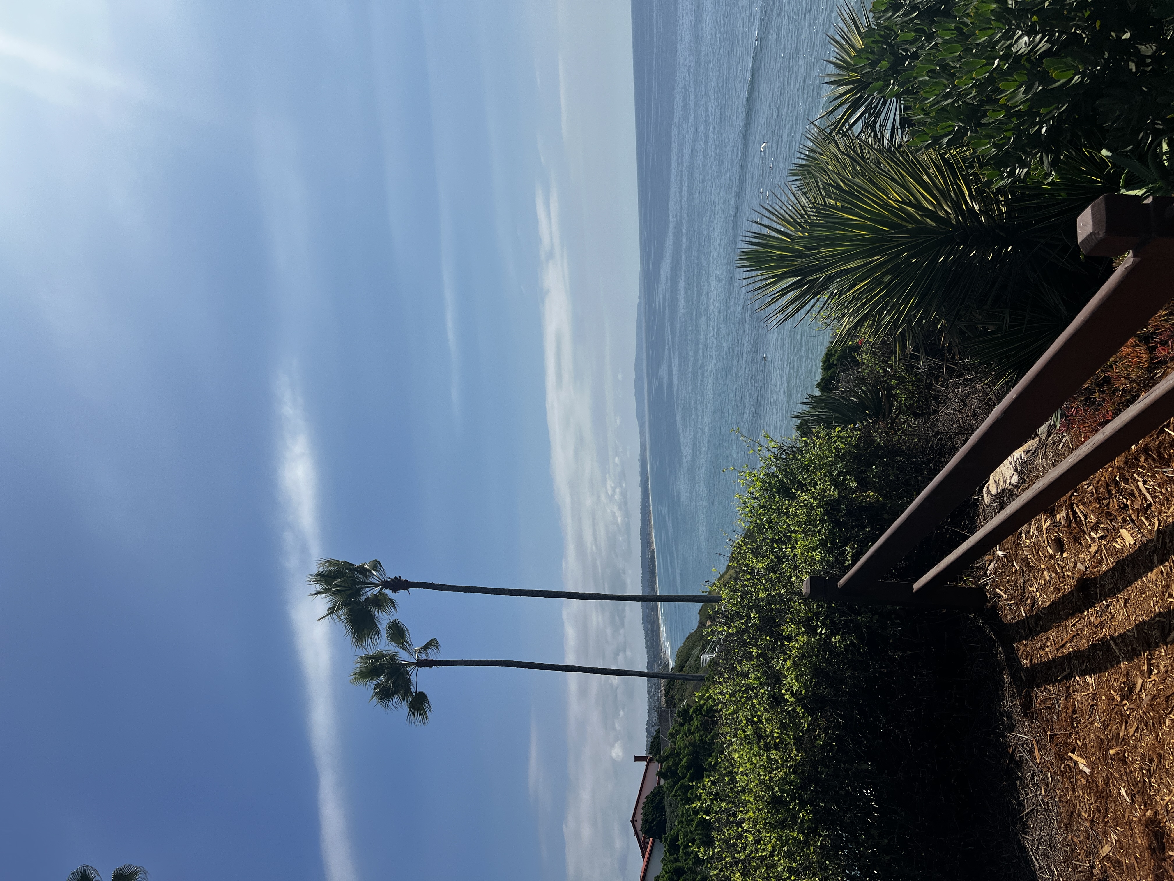 Divine Guidance Kathy