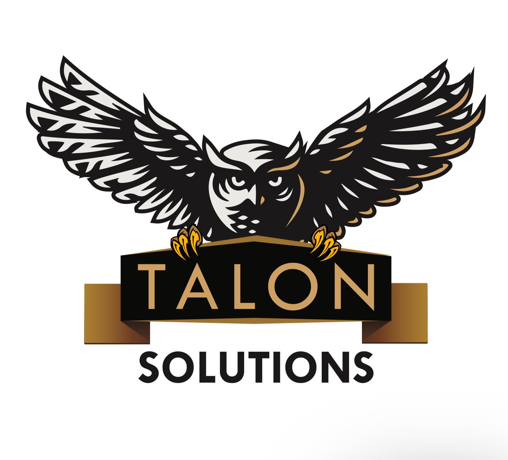 Talon Business Solutions LLC