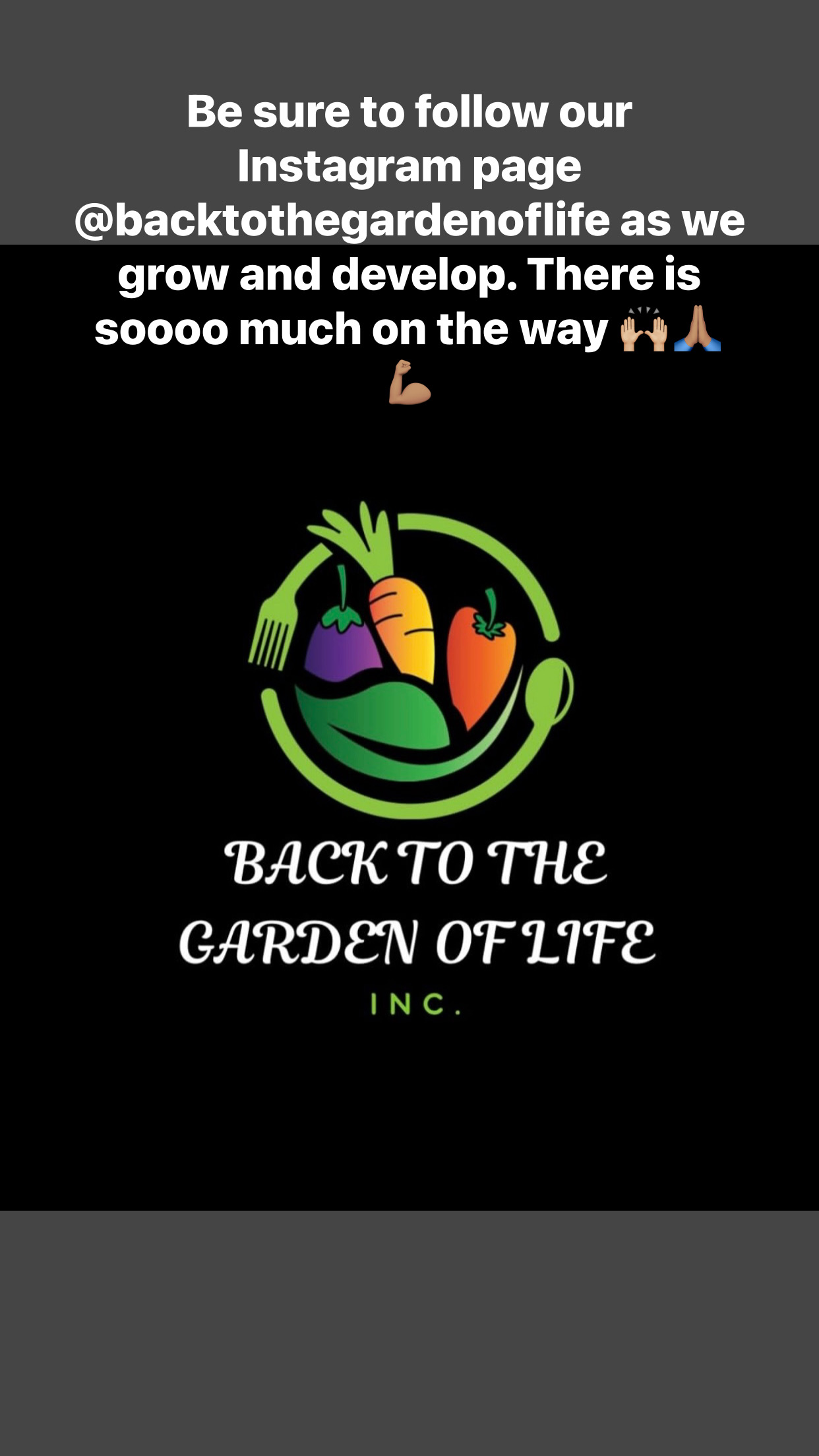 Back To The Garden Of Life