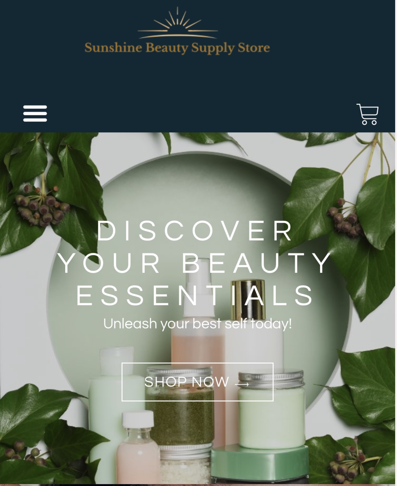 Sunshine Beauty Supply Store