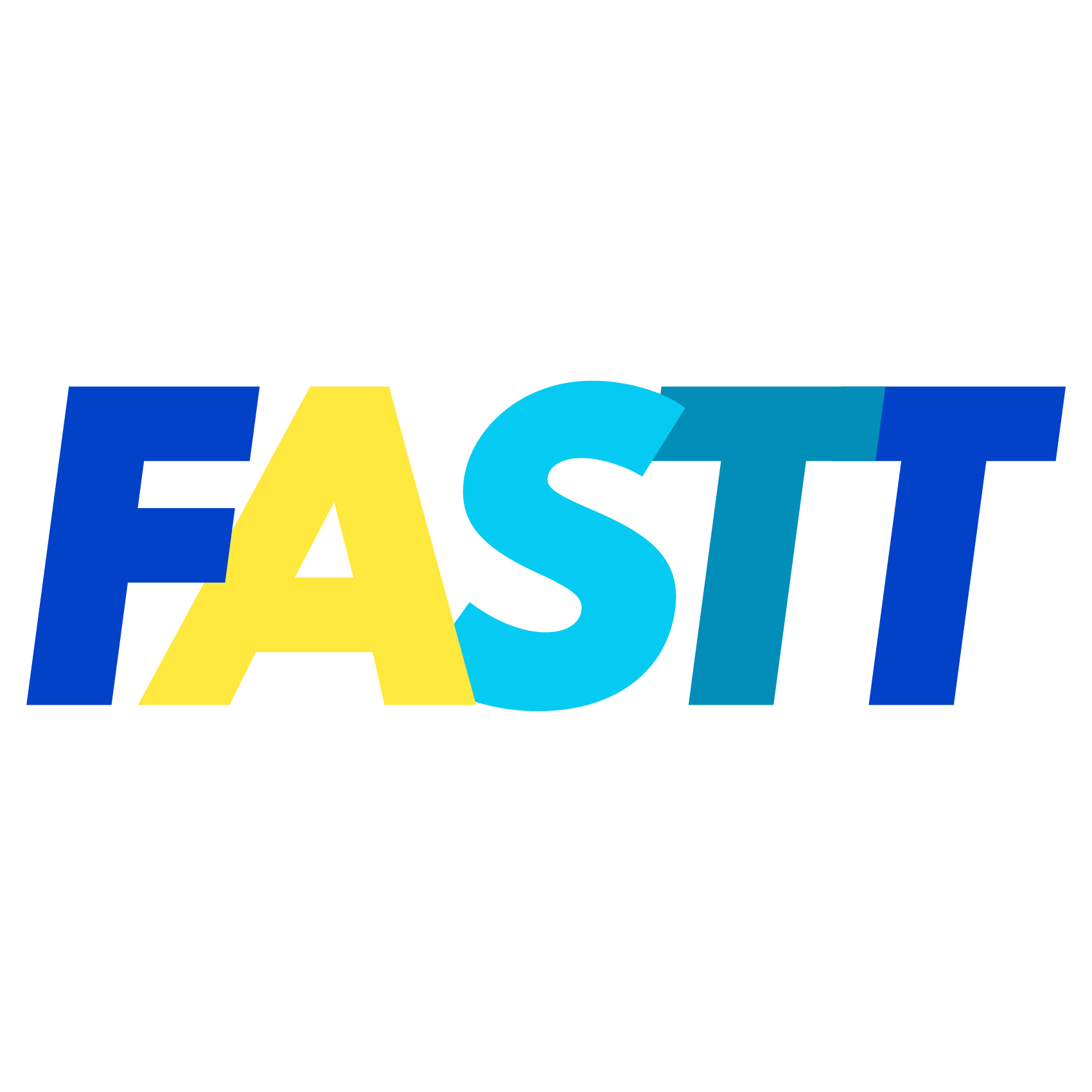 Fastt Inc
