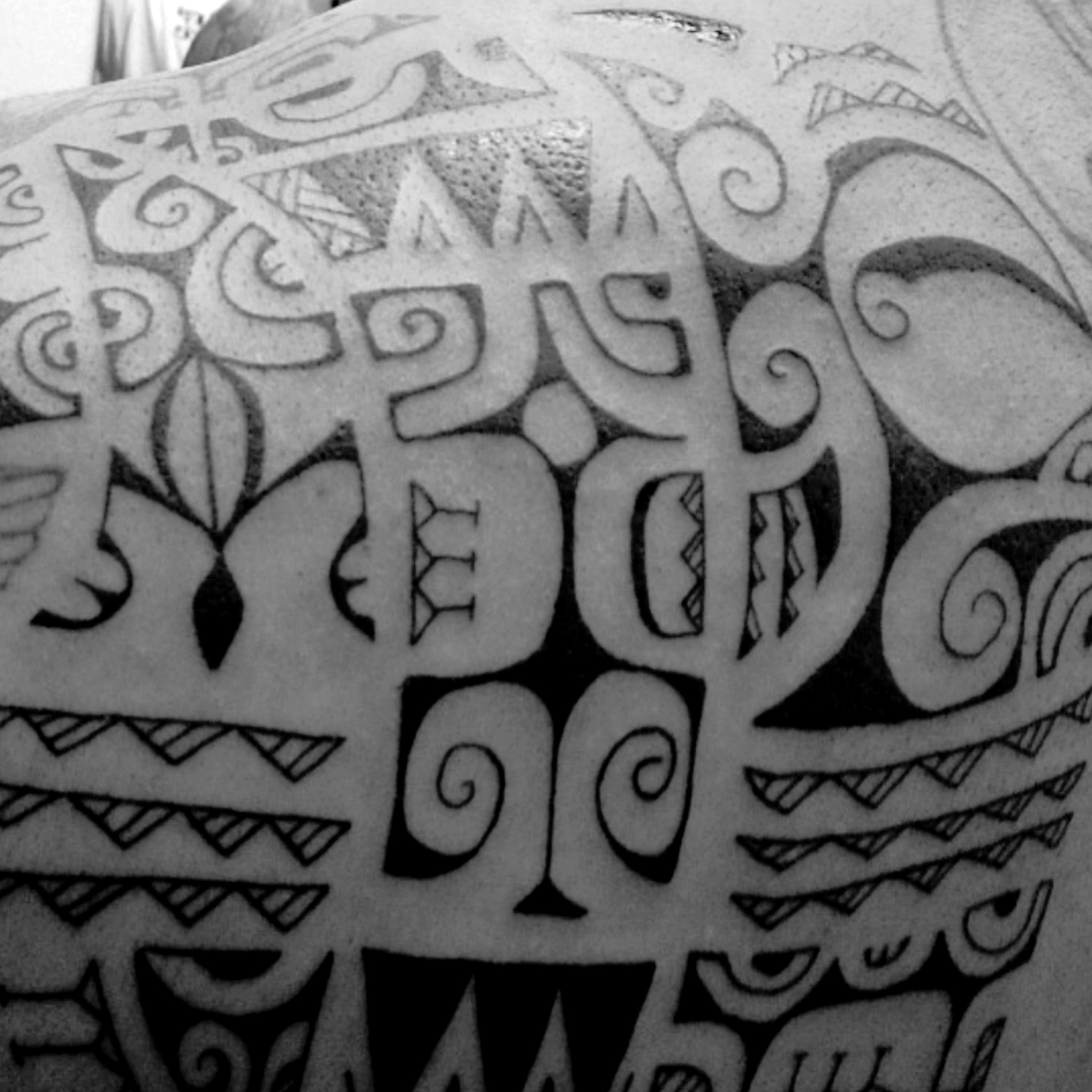 Ivolve Tatau