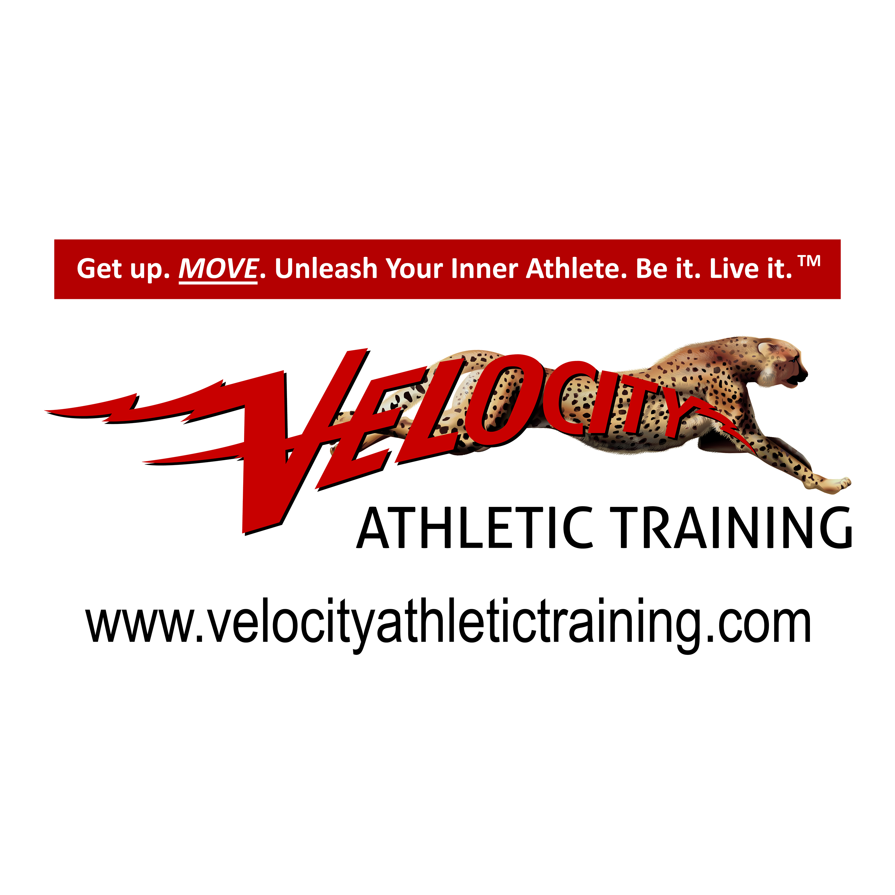Velocity Athletic Training