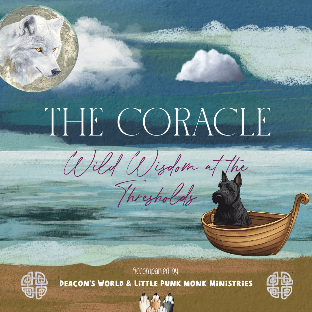 The Coracle