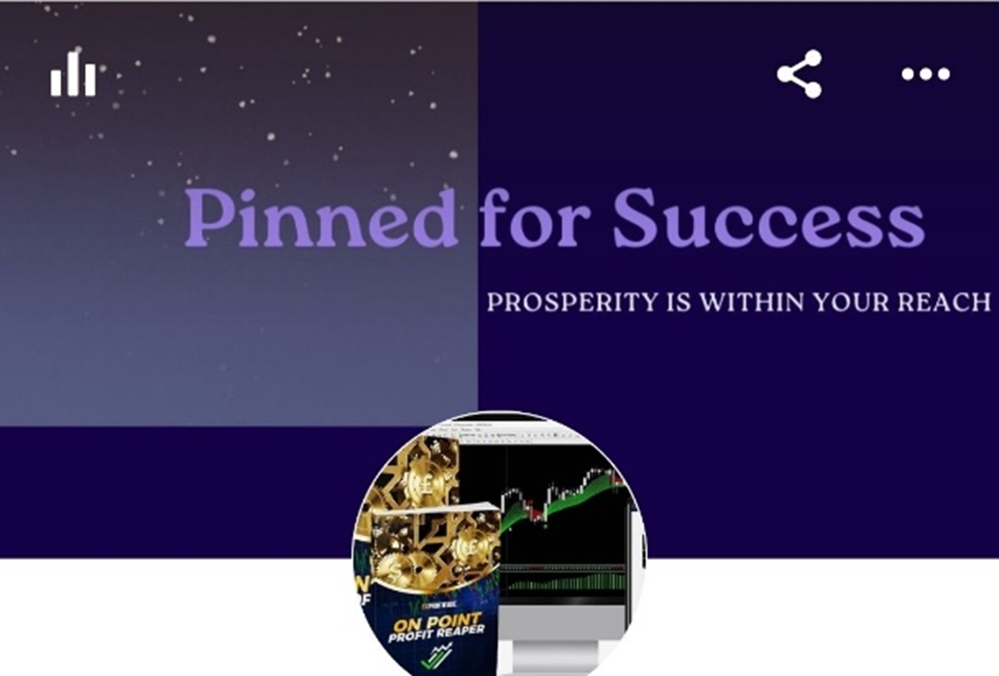 Pinned For Success LLC