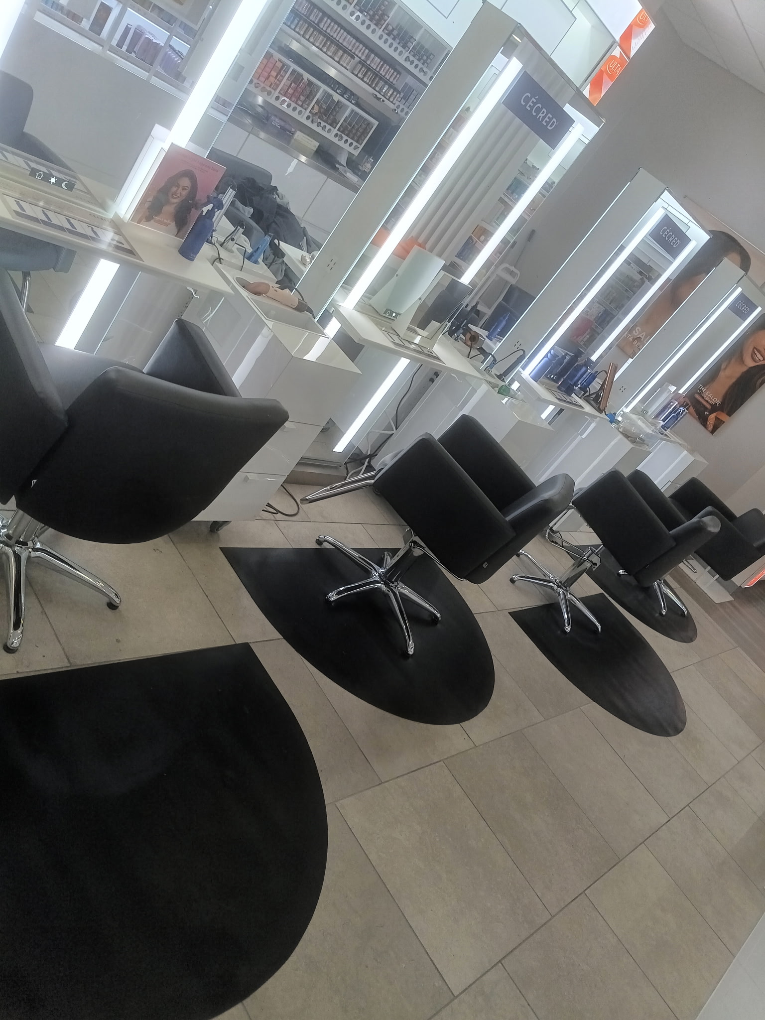 Doja Day Dynasty LLC