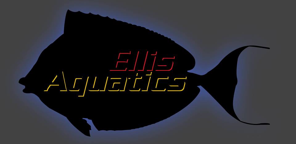Ellis Aquatics