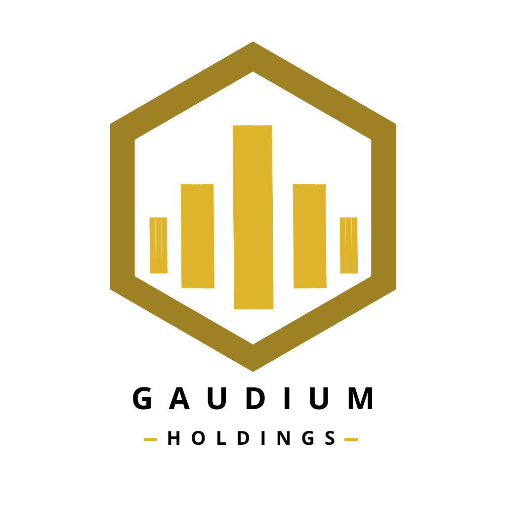 Gaudium Holdings Inc