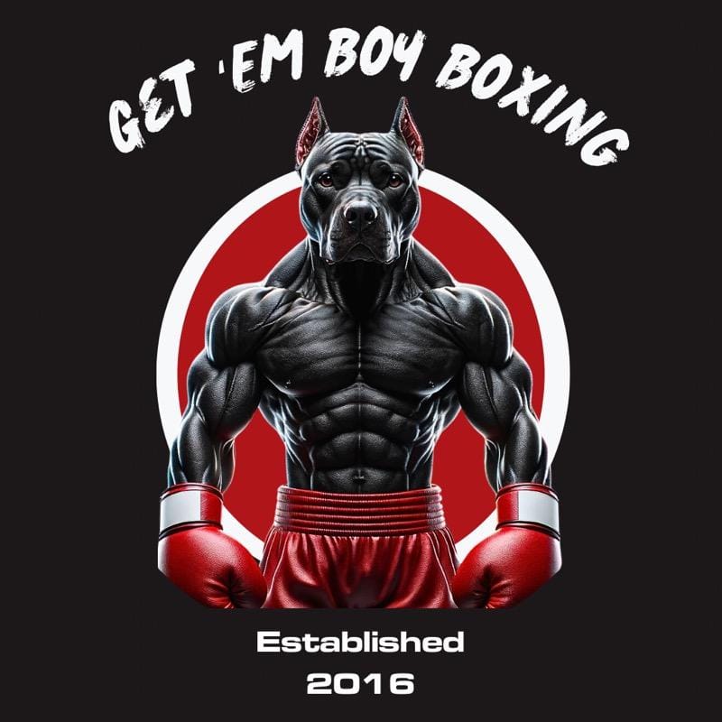 Get Em Boy Boxing