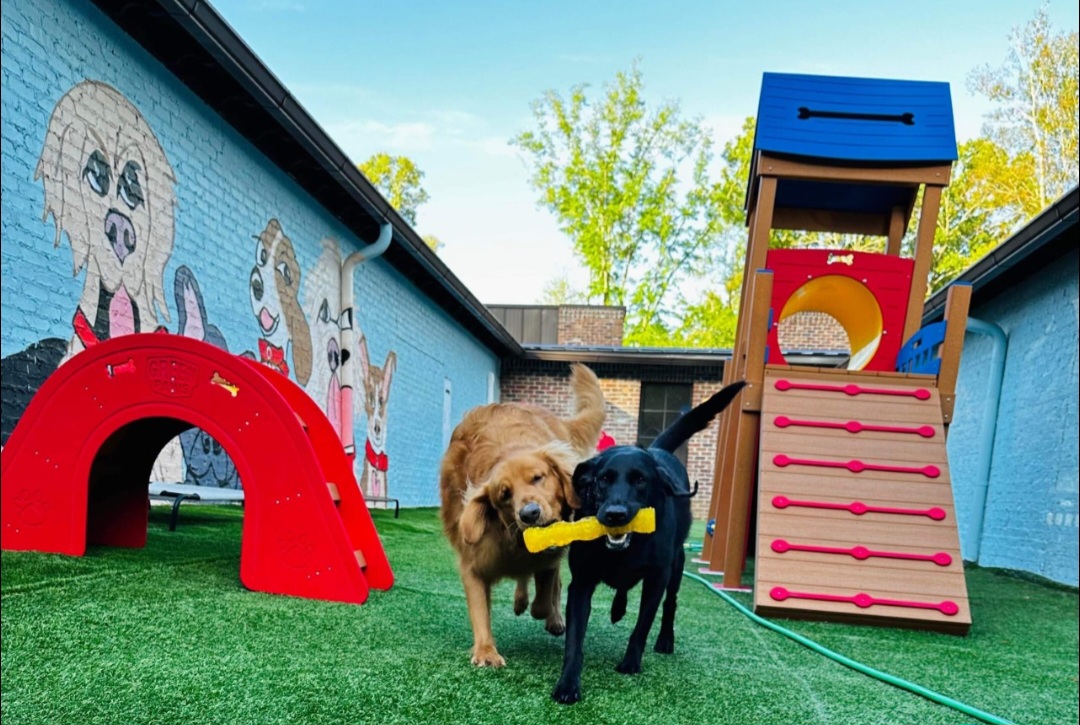 Barkyard Playhouse Dog Resort