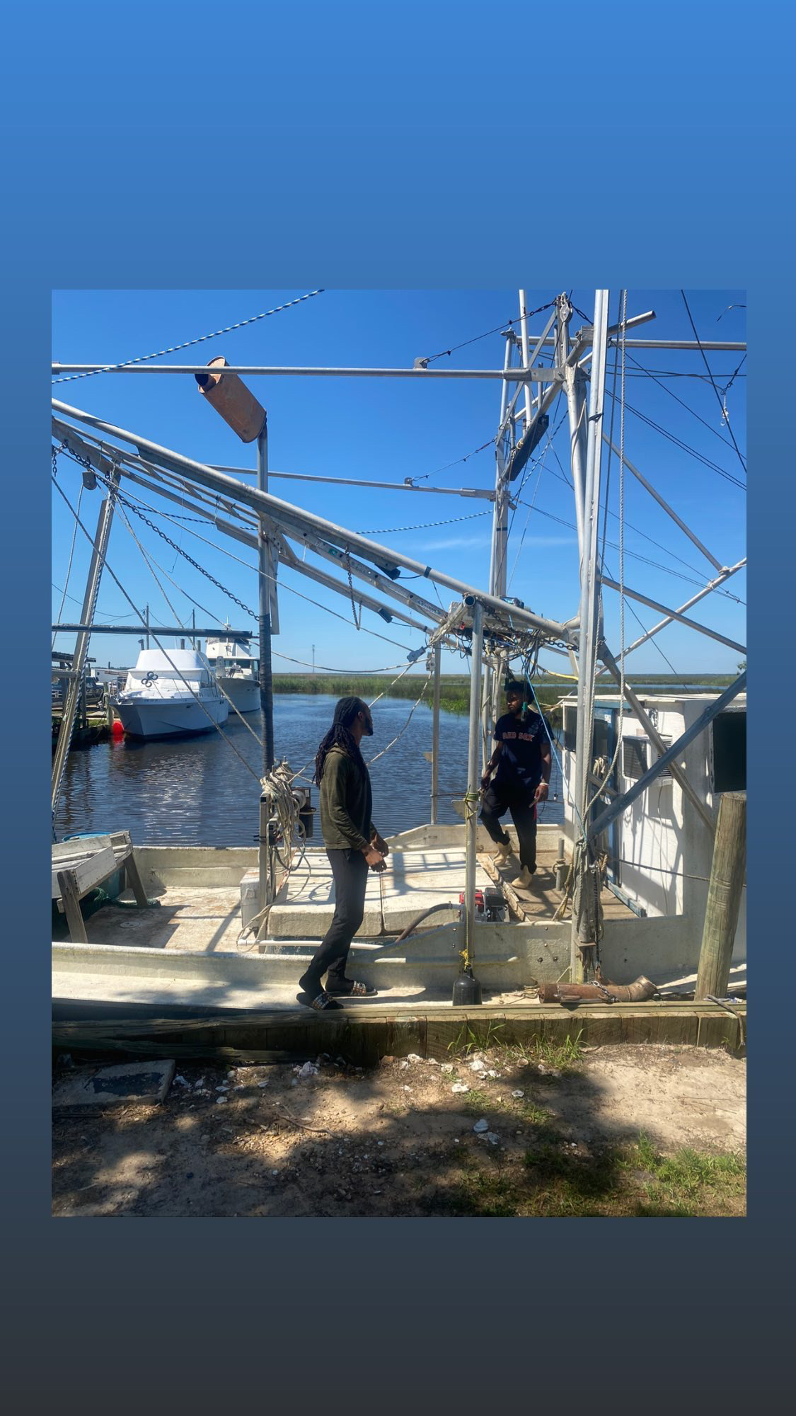 D Young Investments L.l.c