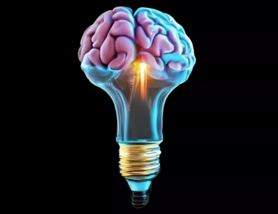 Spark The Brain Network