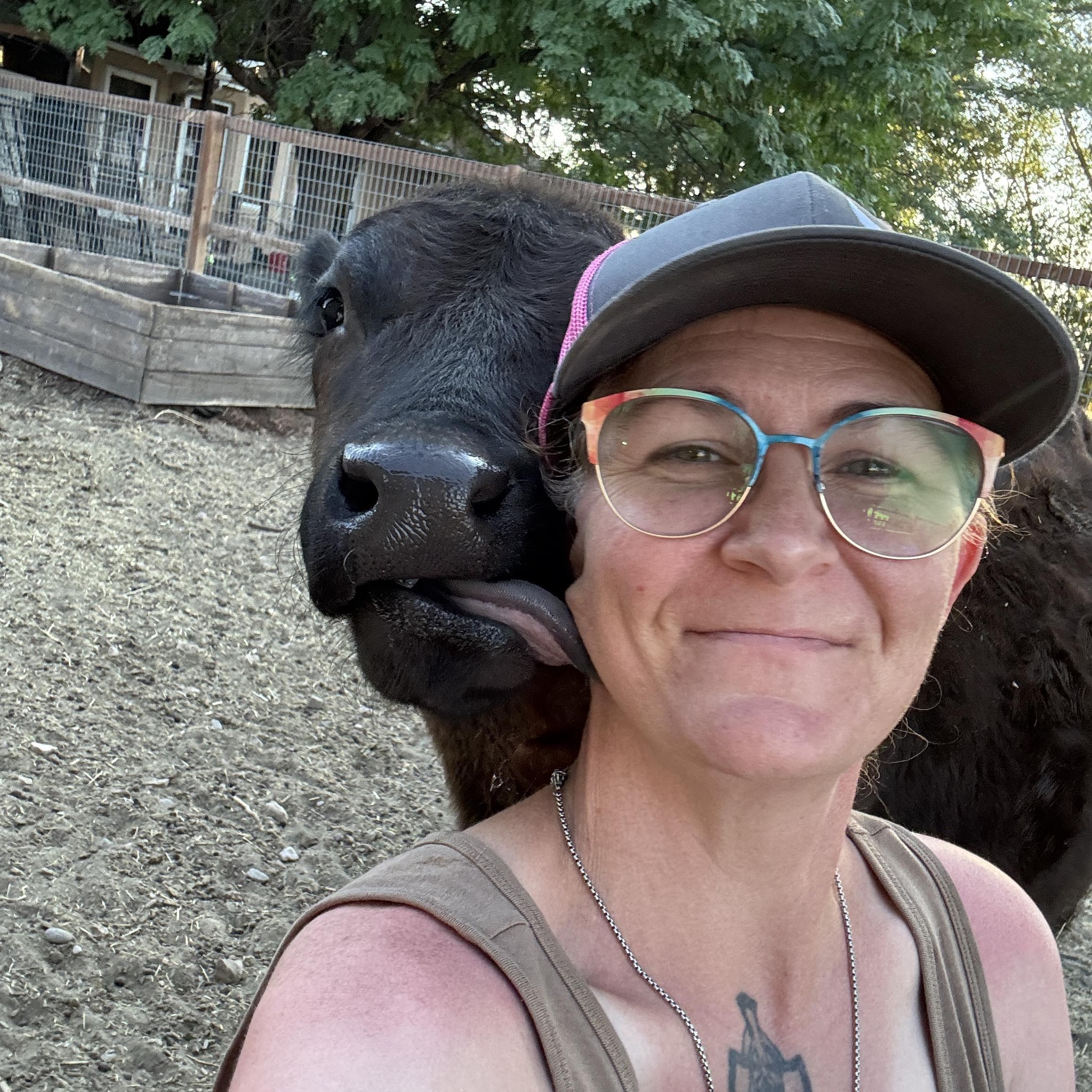 Across The Spectrum Farmstead