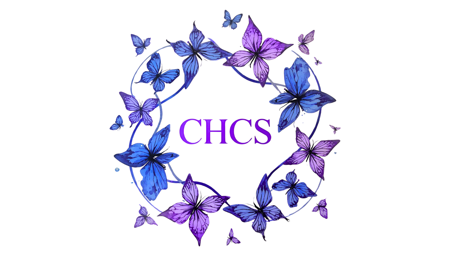 Complement Healthcare Solutions, LLC