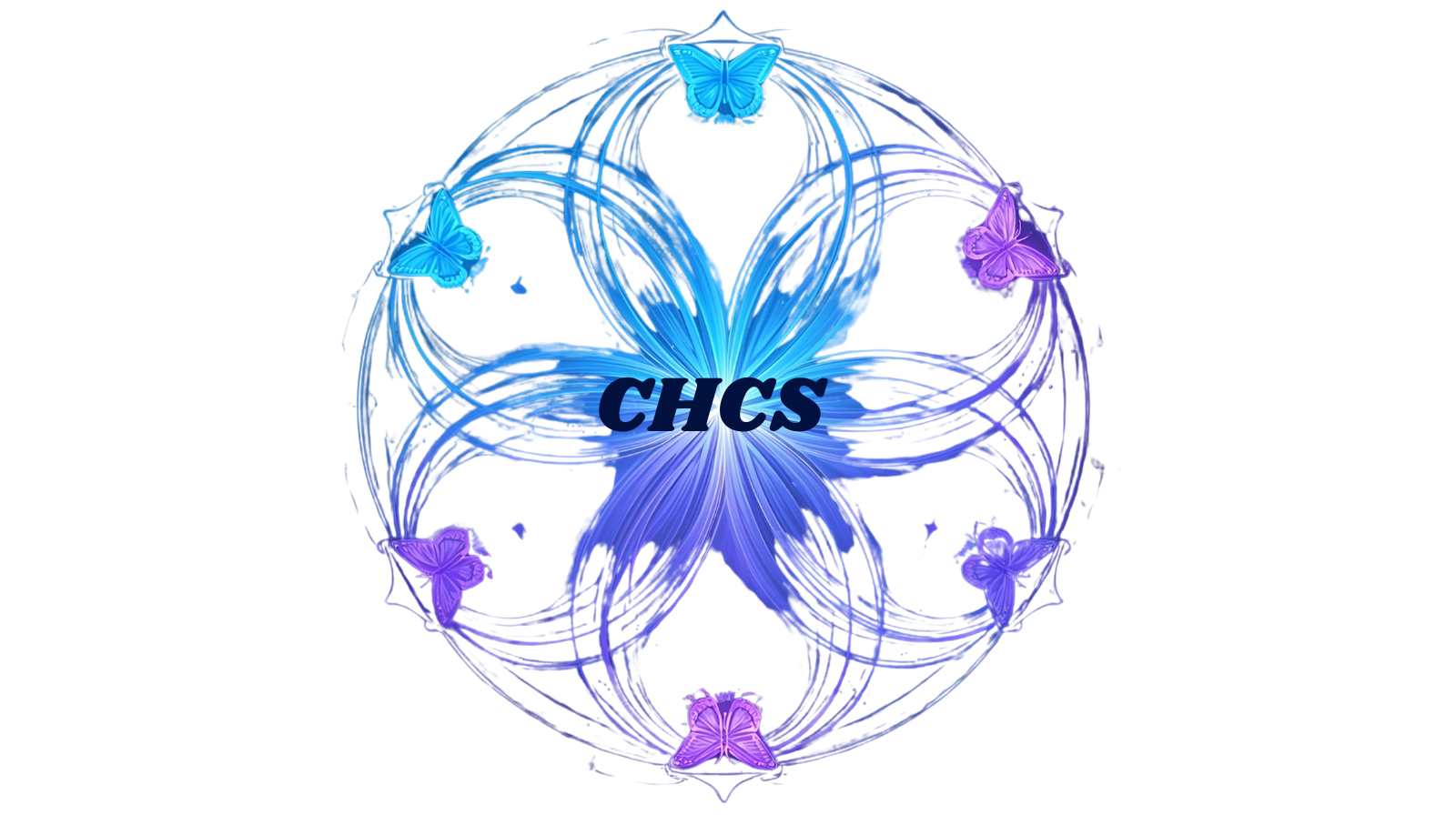 Complement Healthcare Solutions, LLC