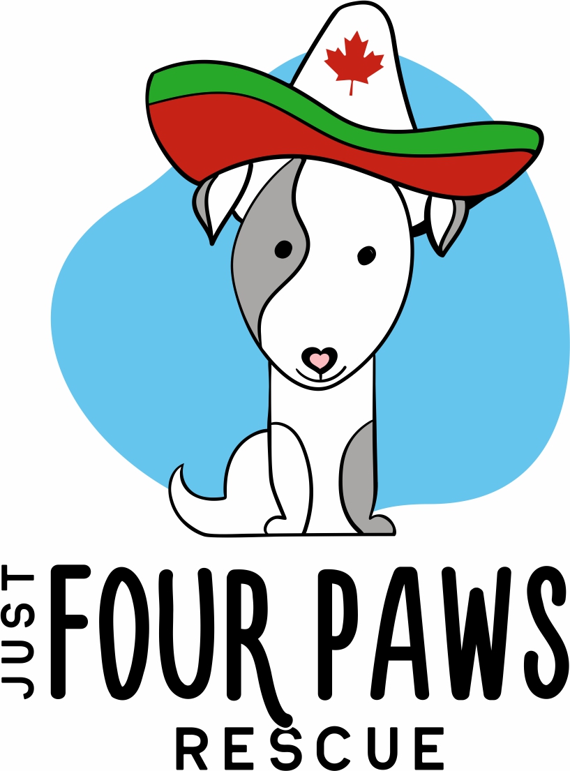 Just Four Paws Rescue