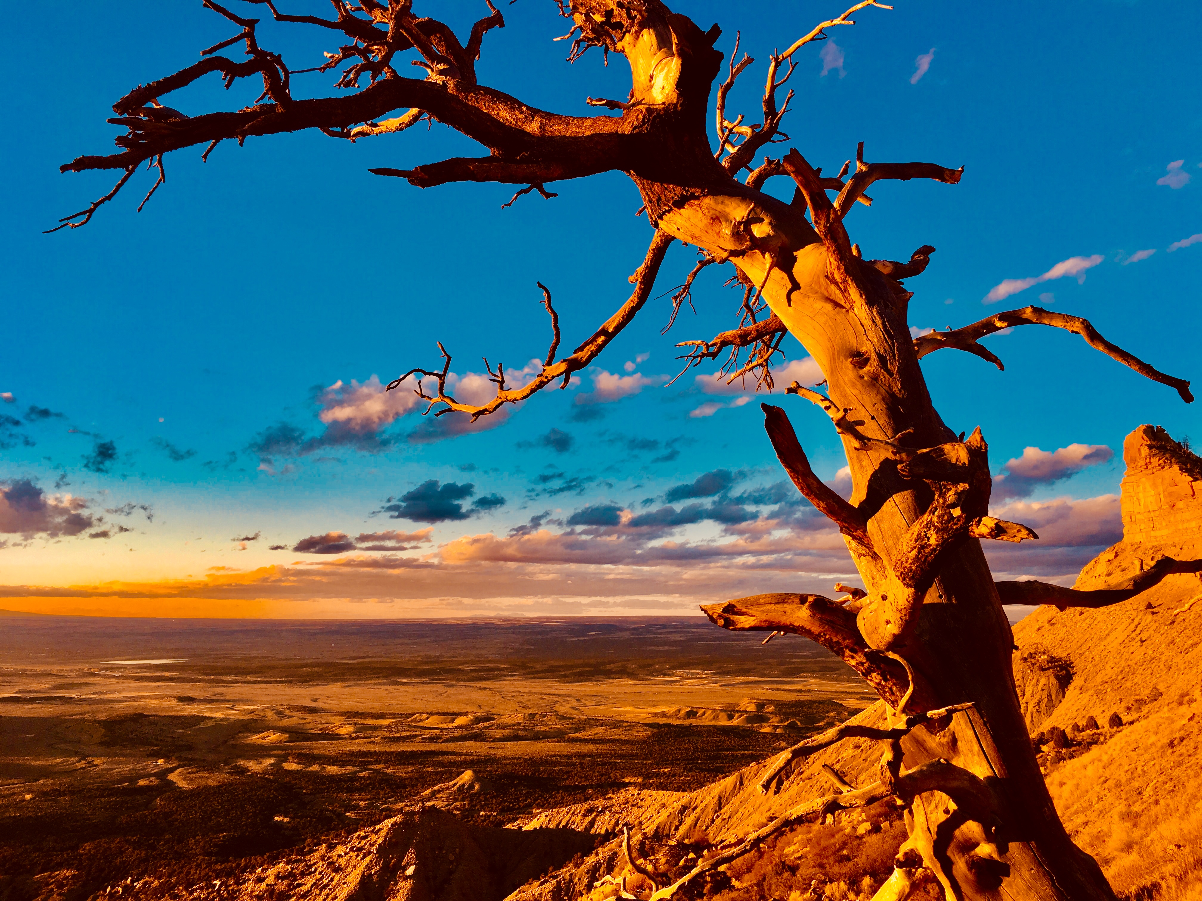 Theres Hope On The Horizon Inc