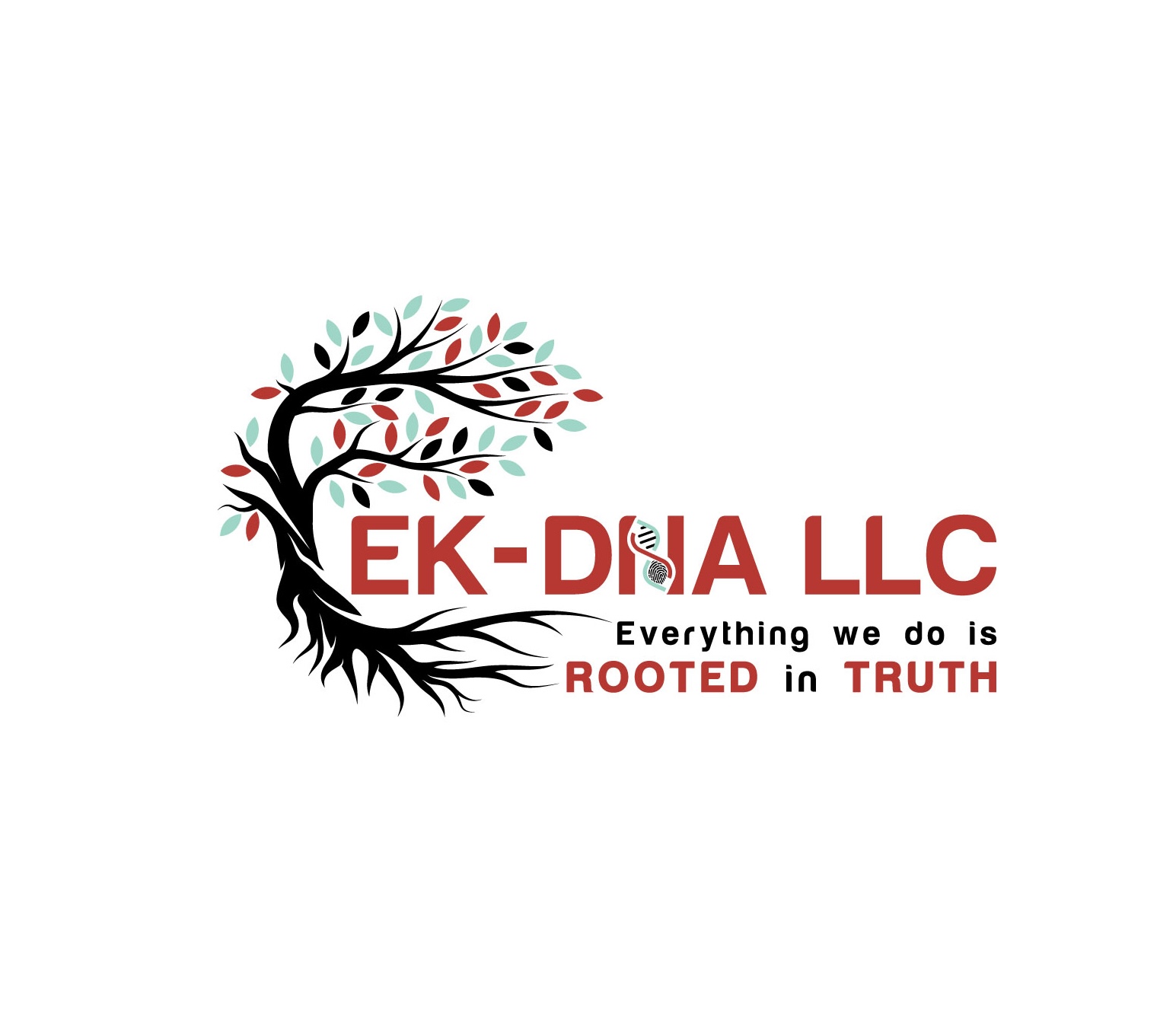 Ek-dna LLC