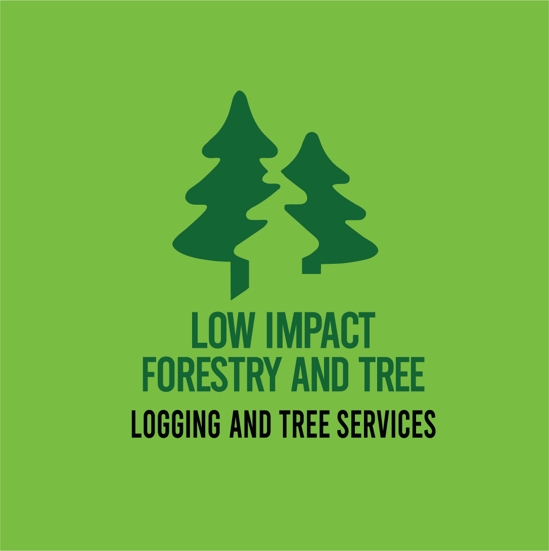 Low Impact Forestry And Tree