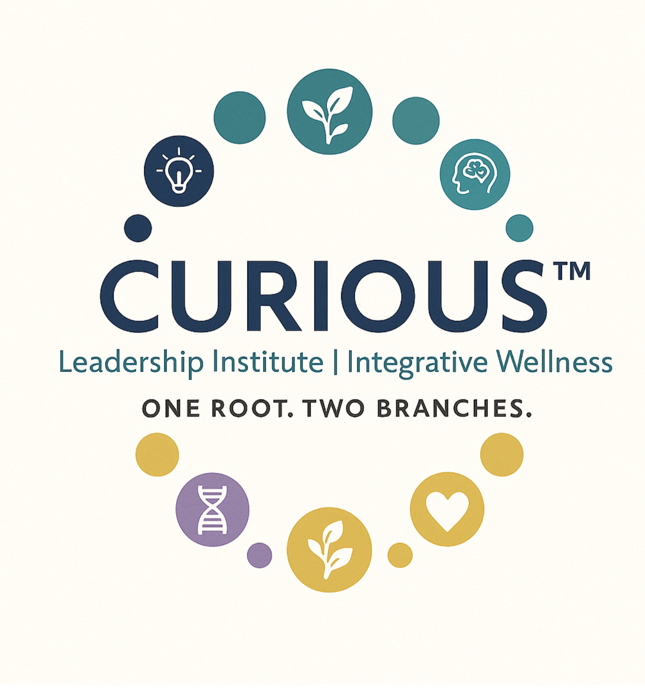 Curious Leadership Institute