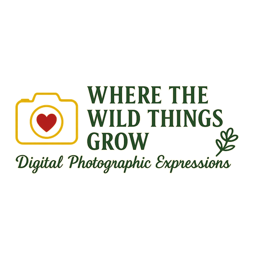 Texas Business Services, LLC