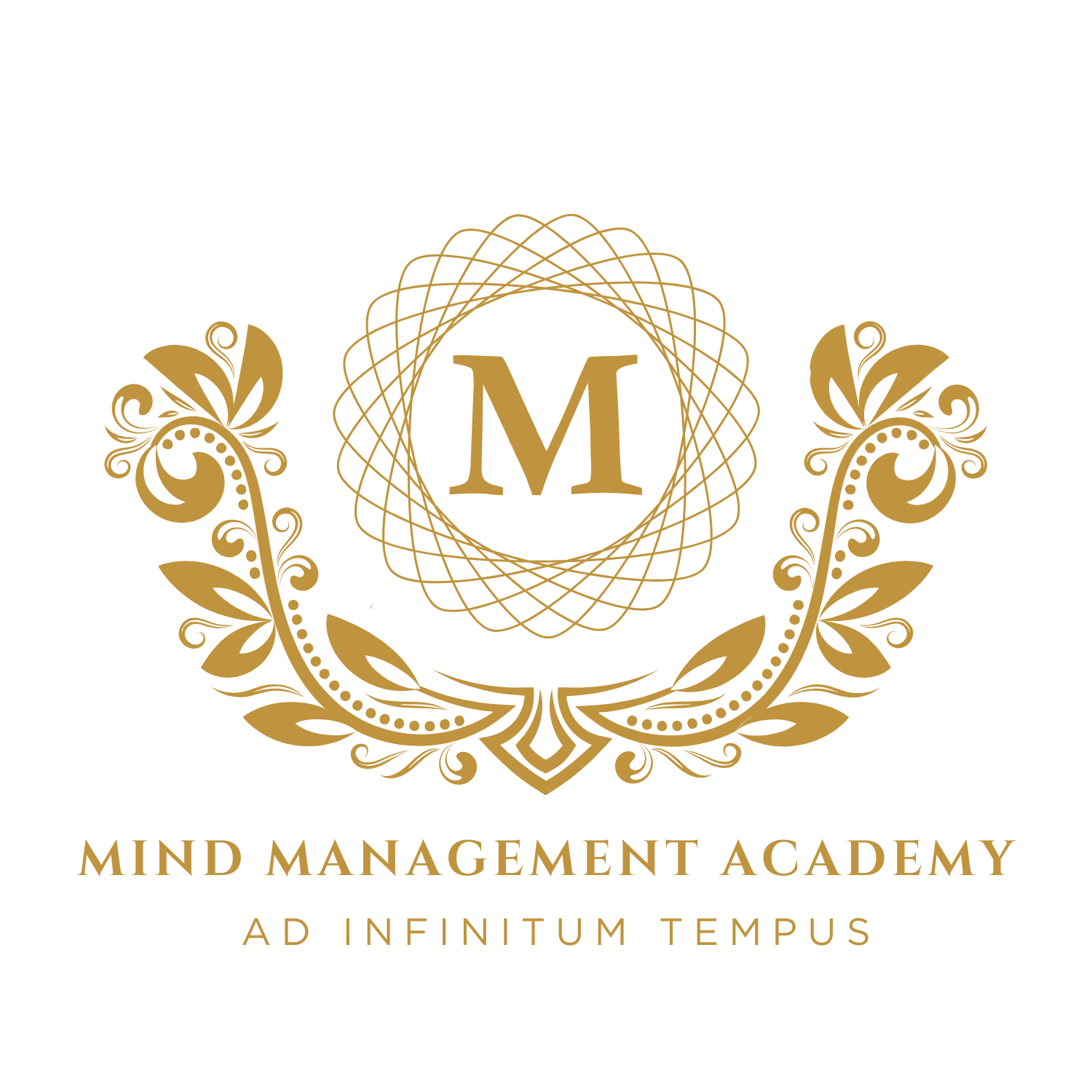 Mind Mnnagement Academy