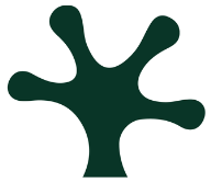 Bullfrog Recruiting Solutions