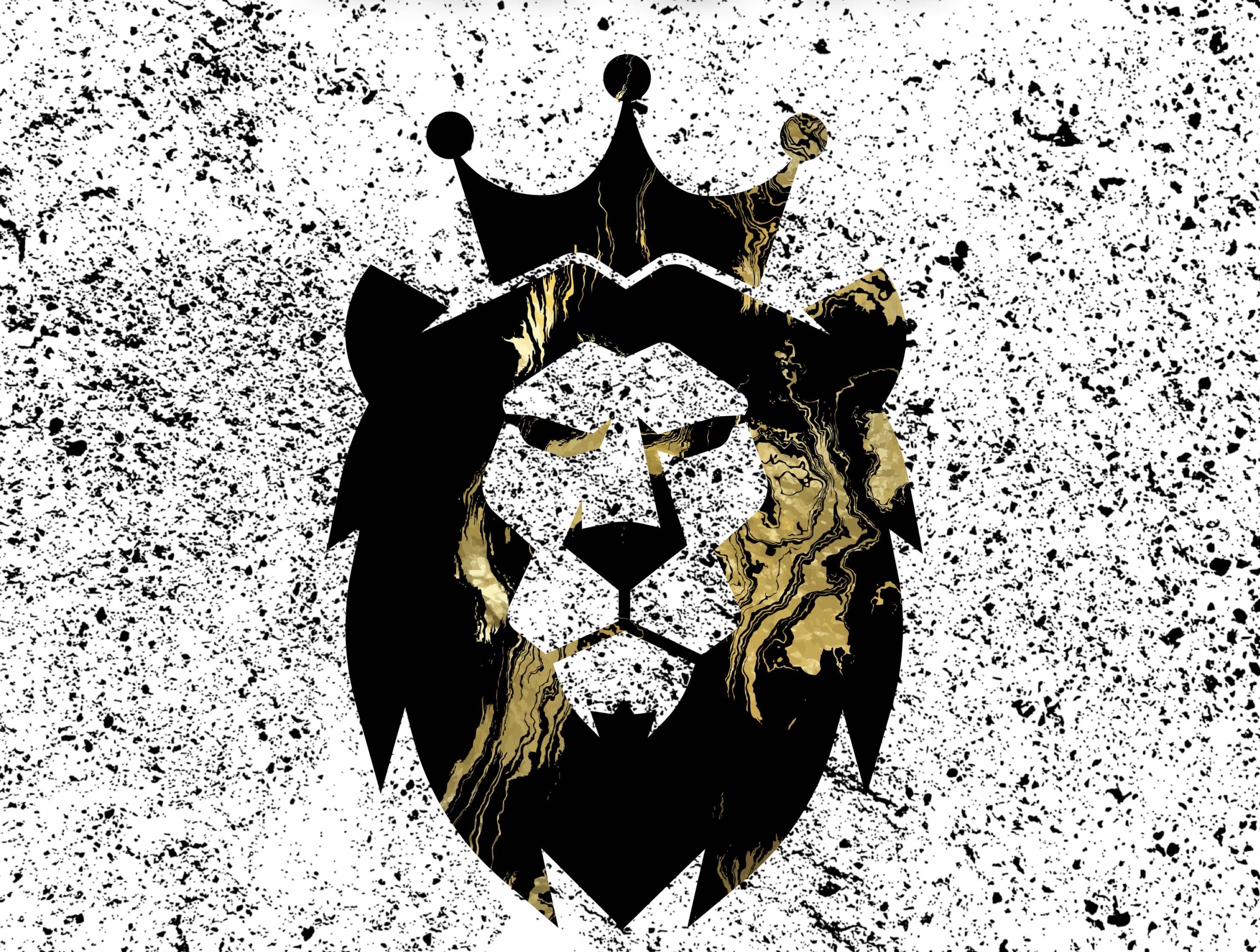 Tay & Sno’s Services LLC 