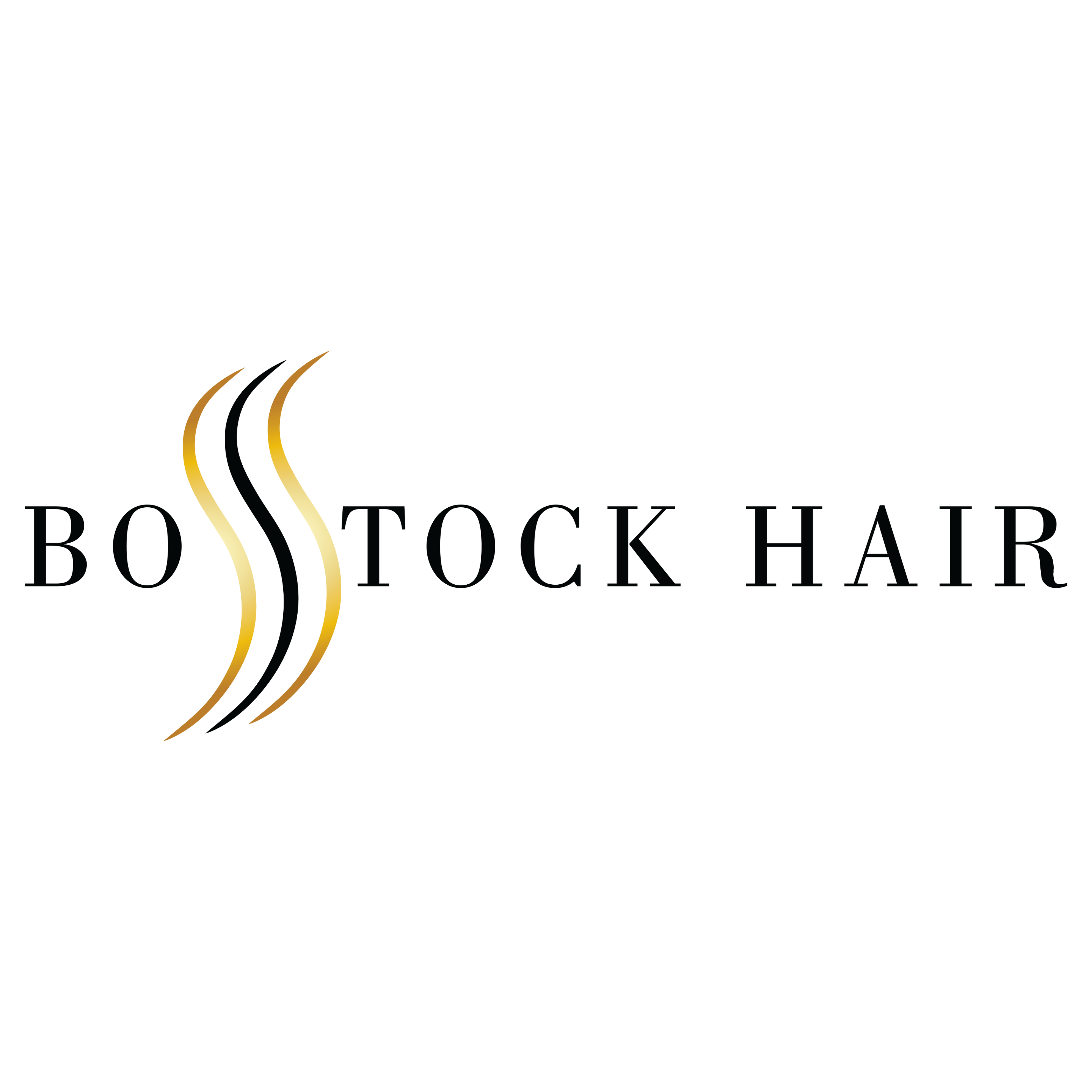 Bostock Hair LLC