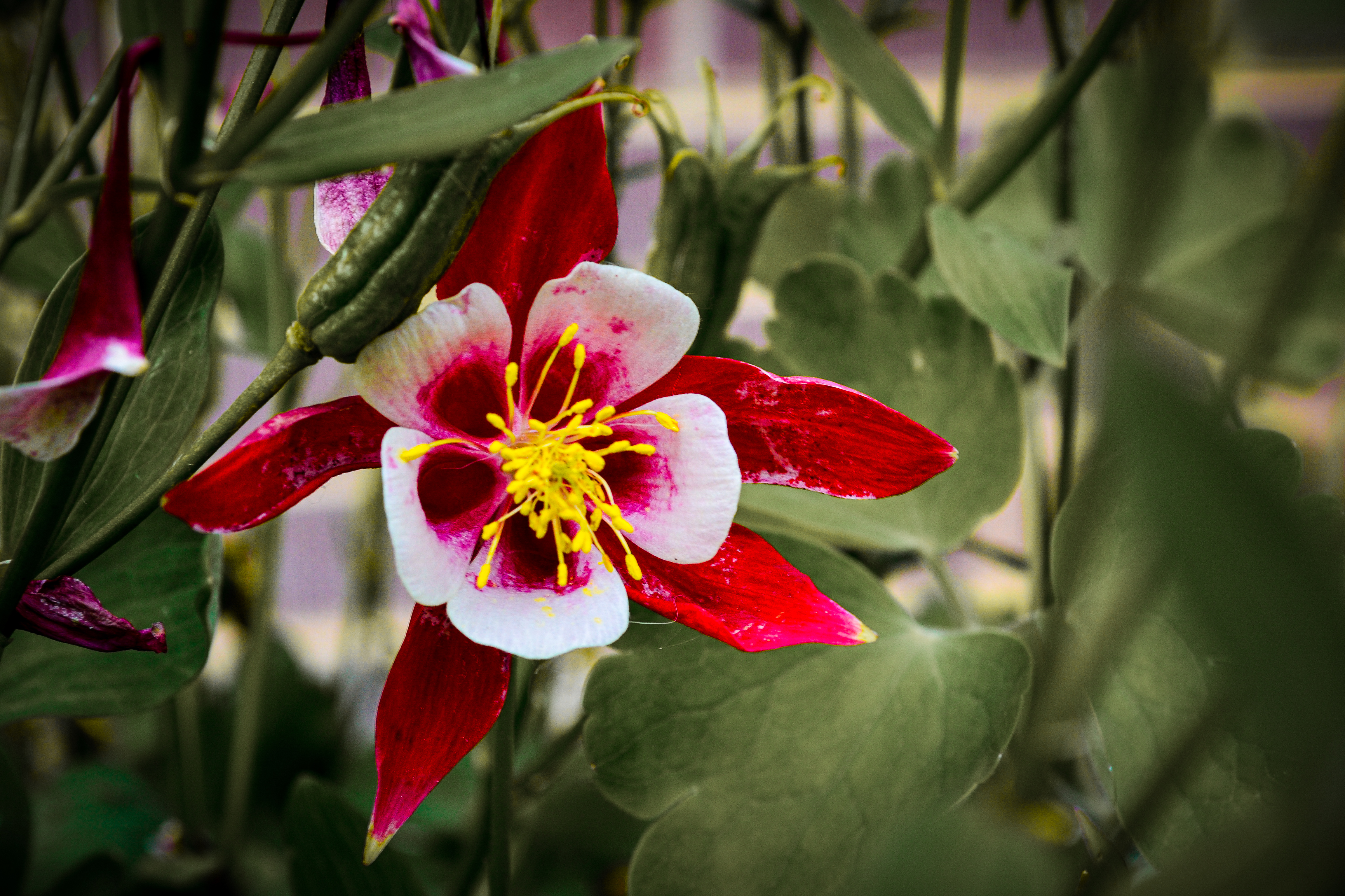 AB DESIGNS AND EVENTS LLC