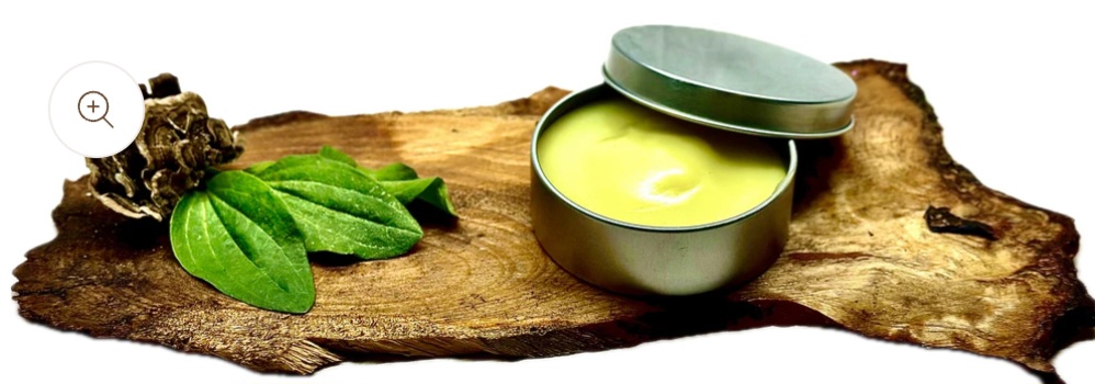 Tara's Herbal Remedies