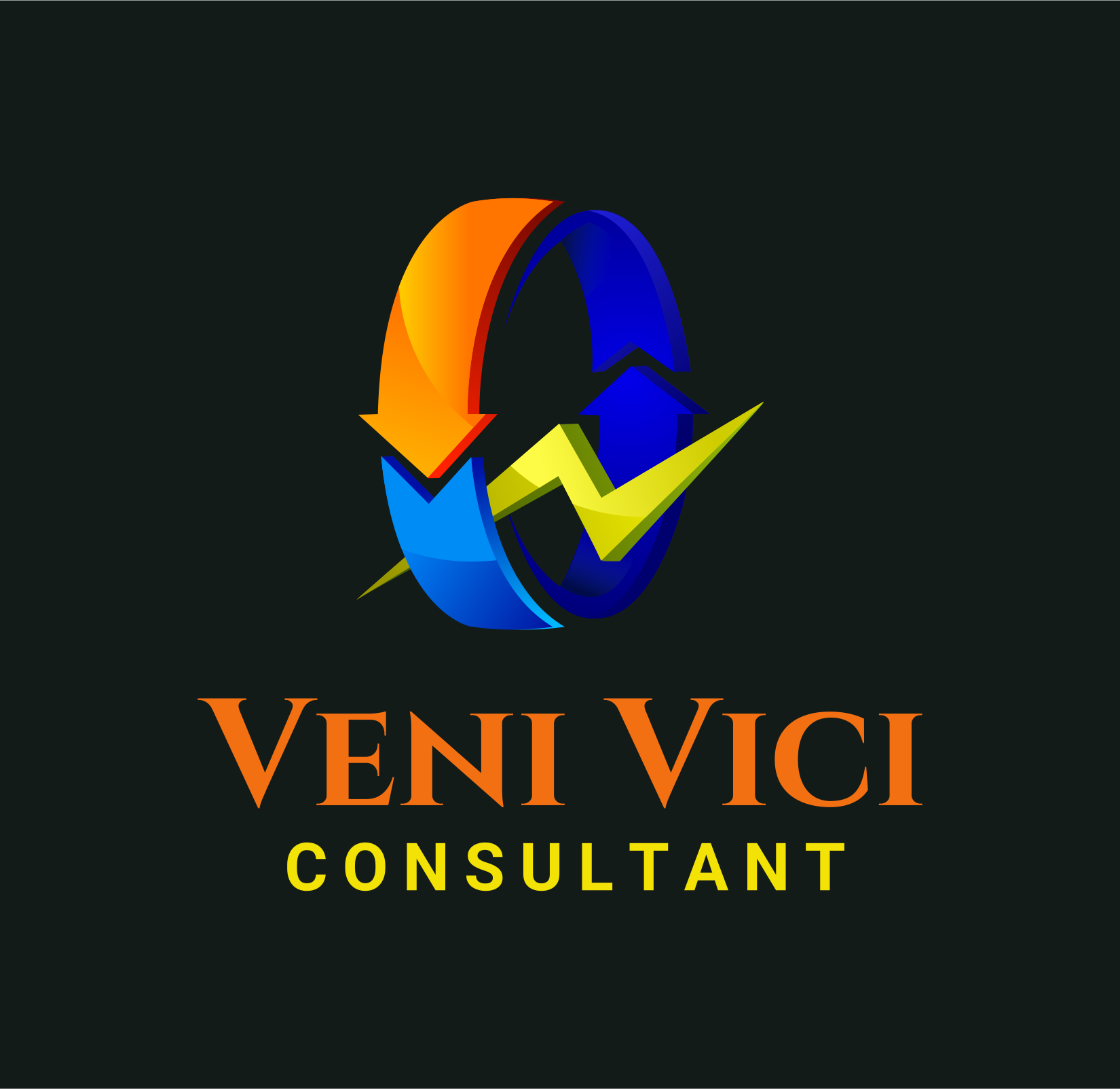 Veni Vici Consultant