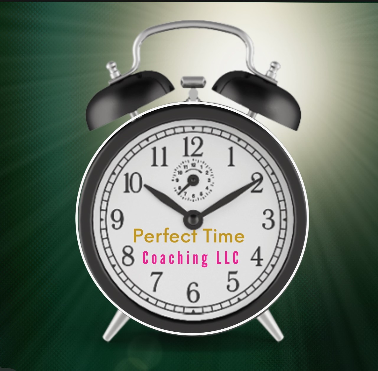 Perfect Time Coaching LLC