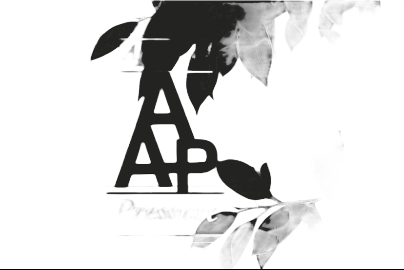 Apply All Pressure Aap LLC