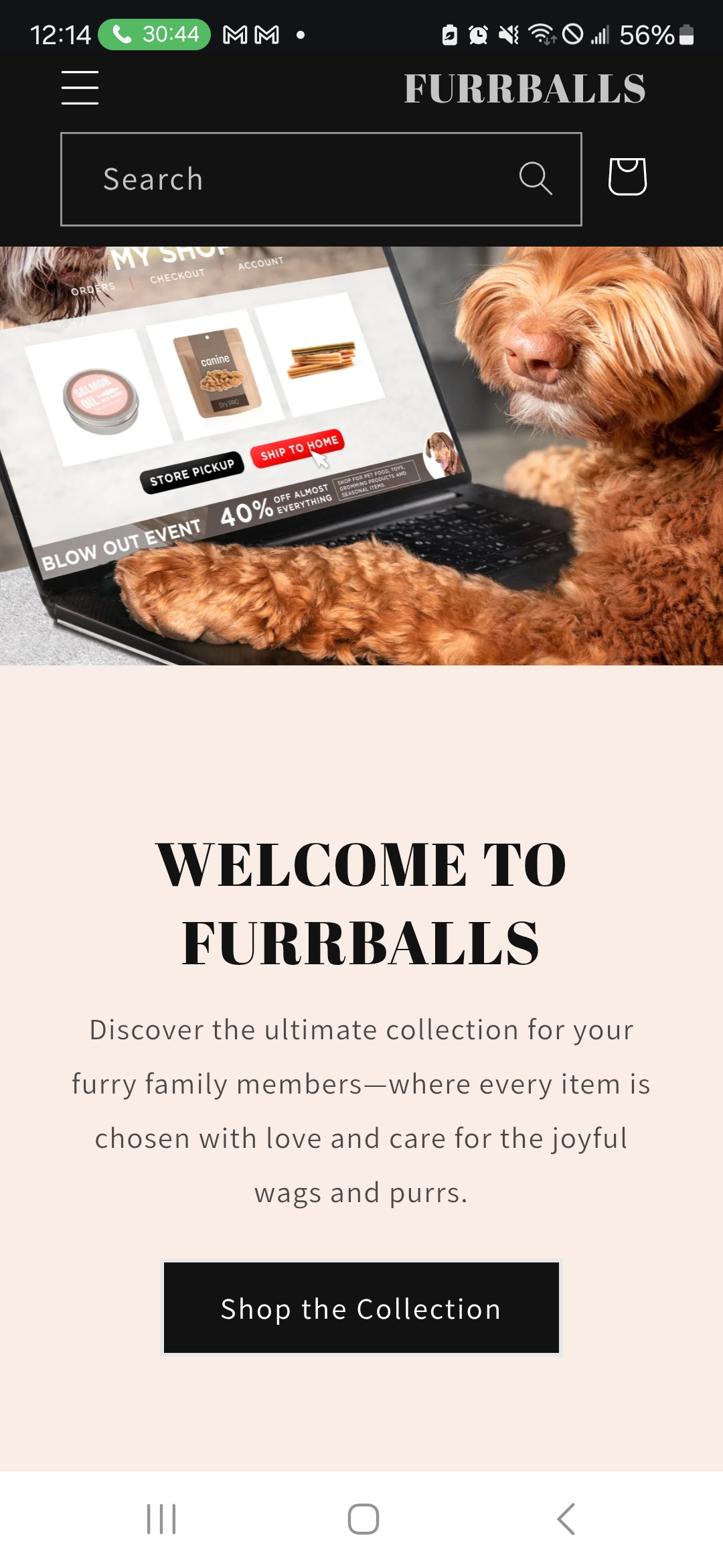 FURRBALLS LLC