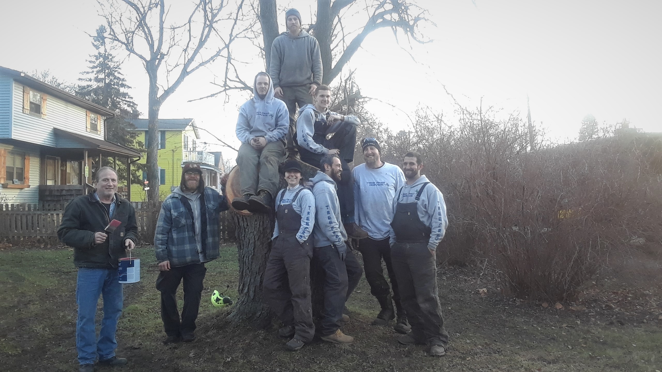 Tree Frog Service LLC