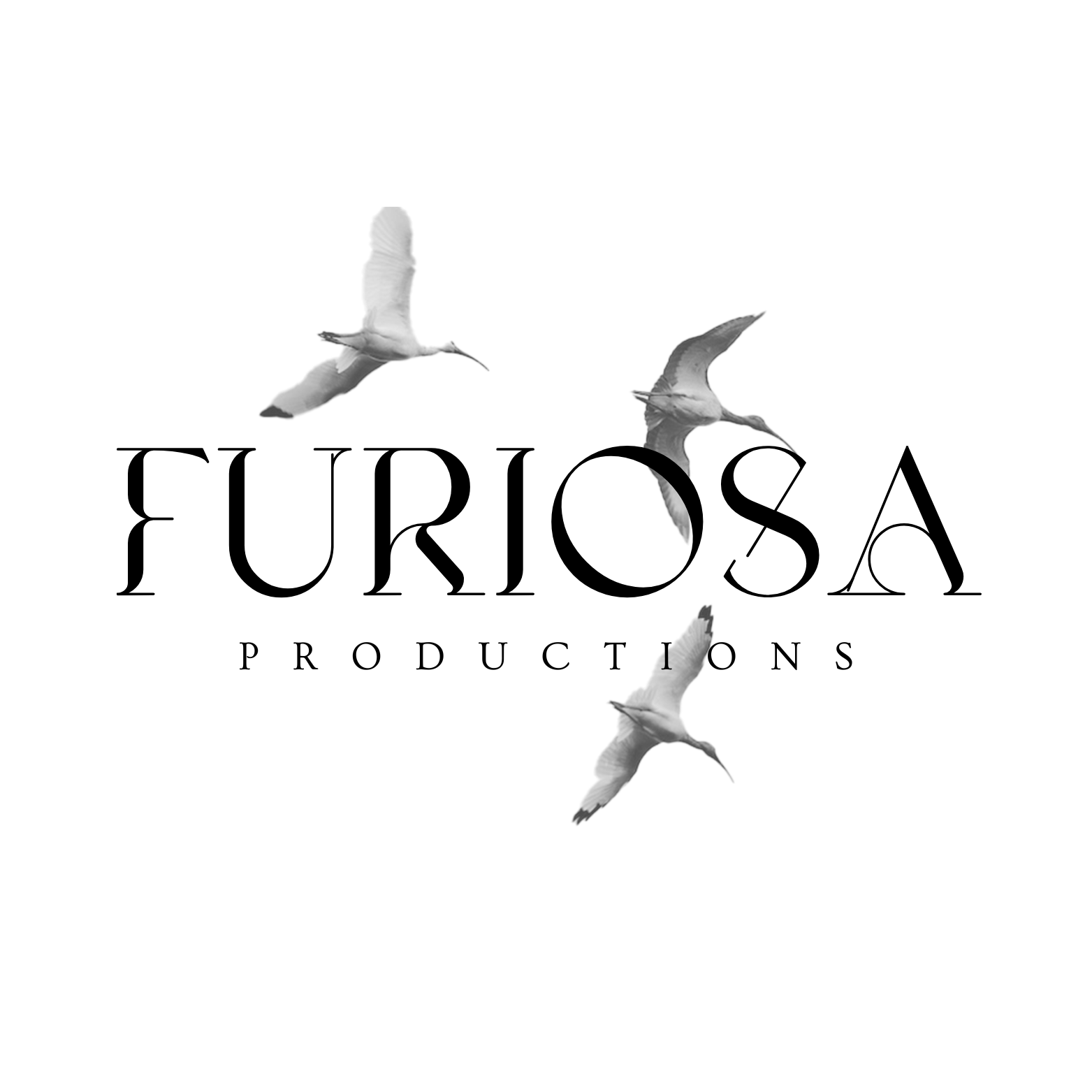 Furiosa Productions