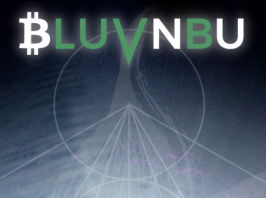 BLUVNBU LLC