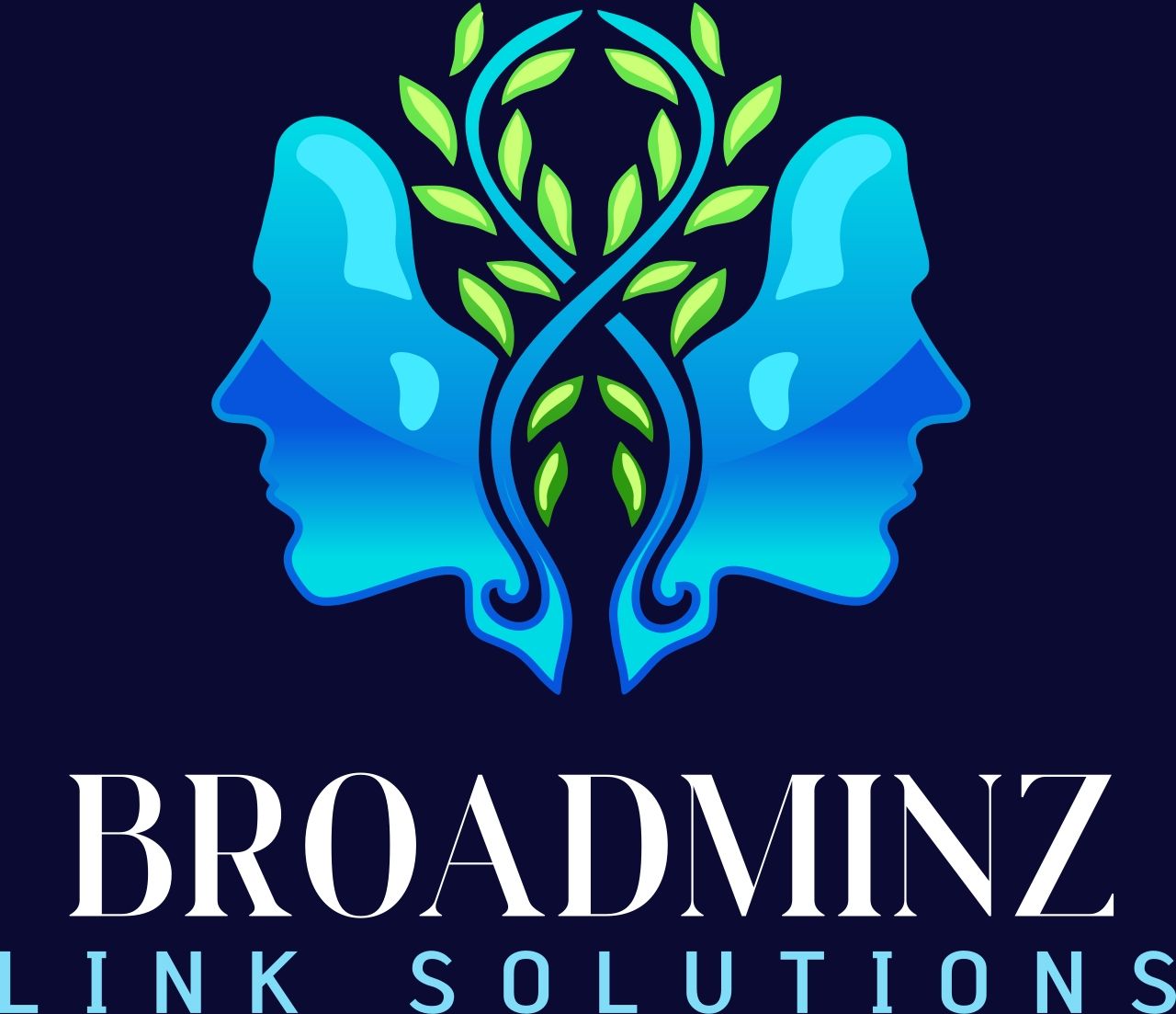 Broadminz Link Solutions LLC