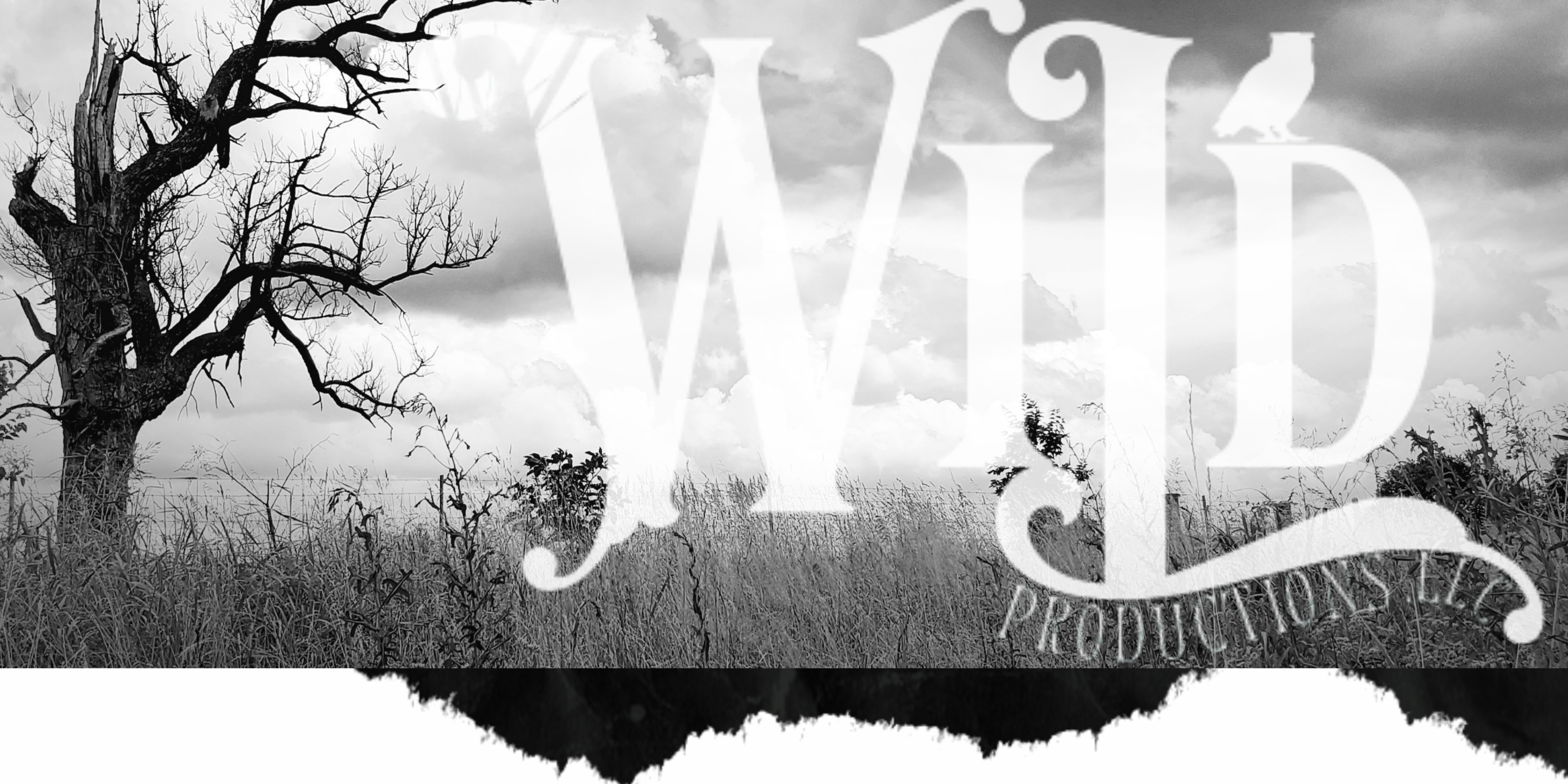 Wild & Wild Mercantile & Trading Co. 