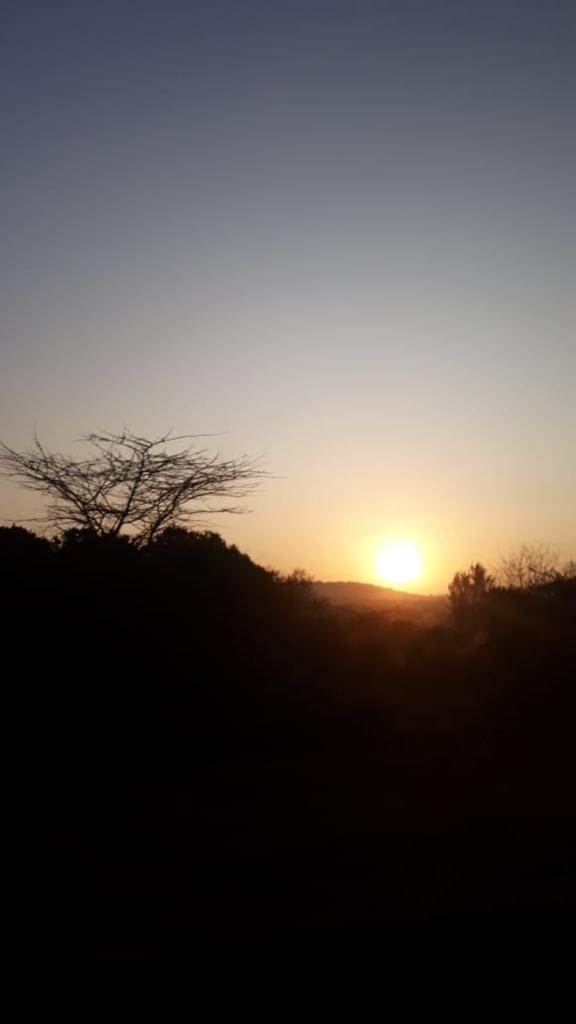 Steers Enterprise LLC