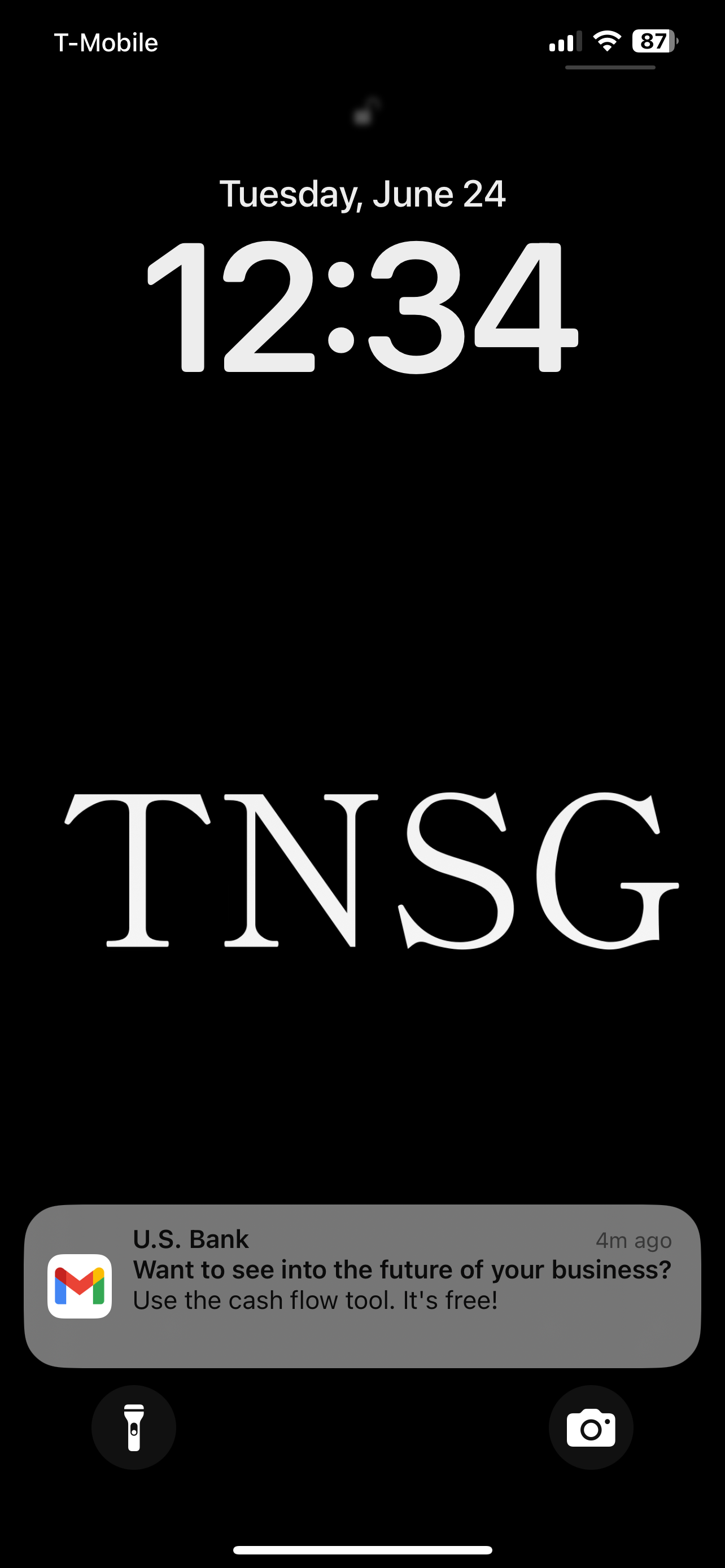 TNSG LLC